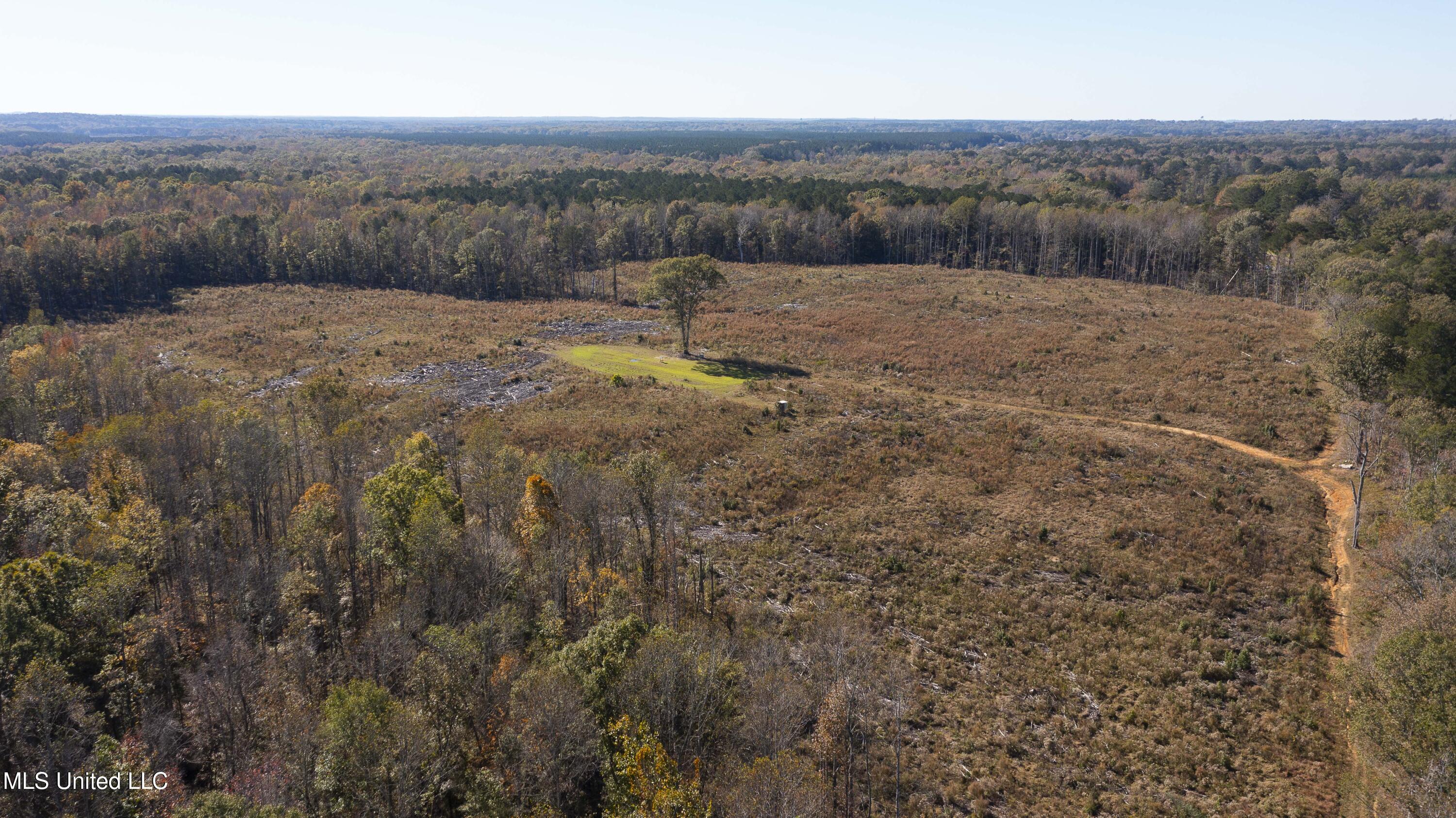 347.14 Acres Bridges Road, Brandon, Mississippi image 17