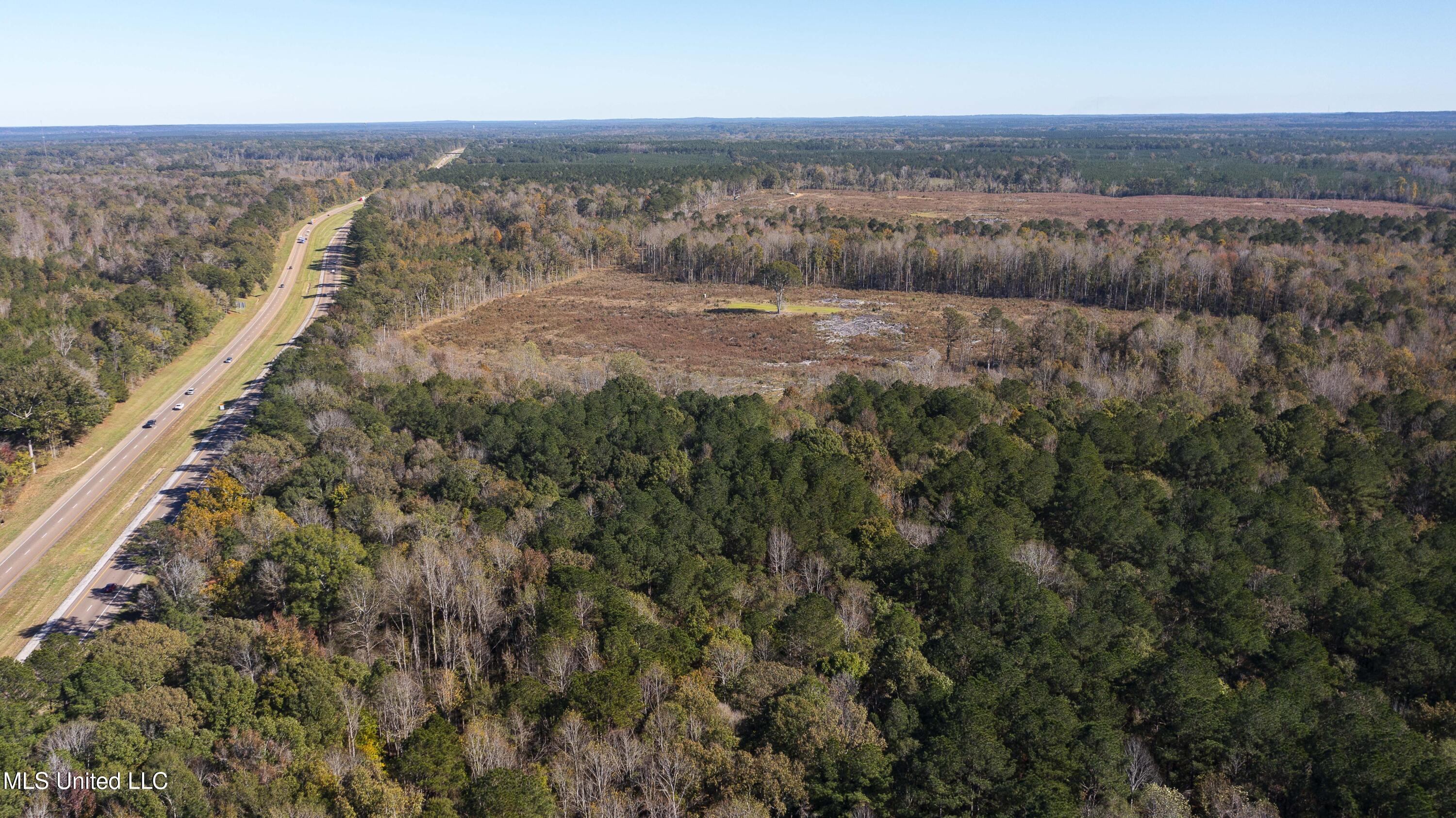 347.14 Acres Bridges Road, Brandon, Mississippi image 2