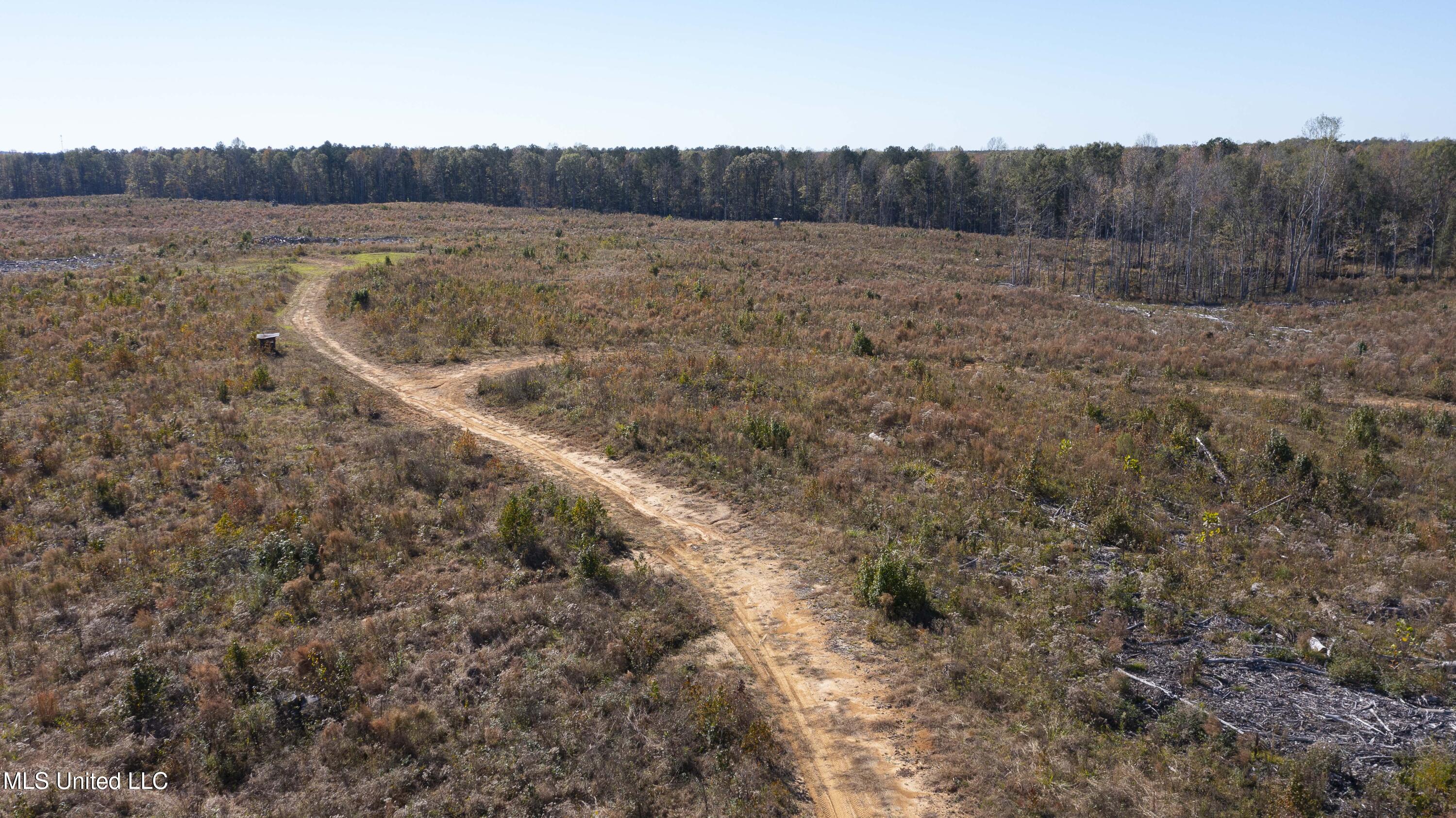 347.14 Acres Bridges Road, Brandon, Mississippi image 14