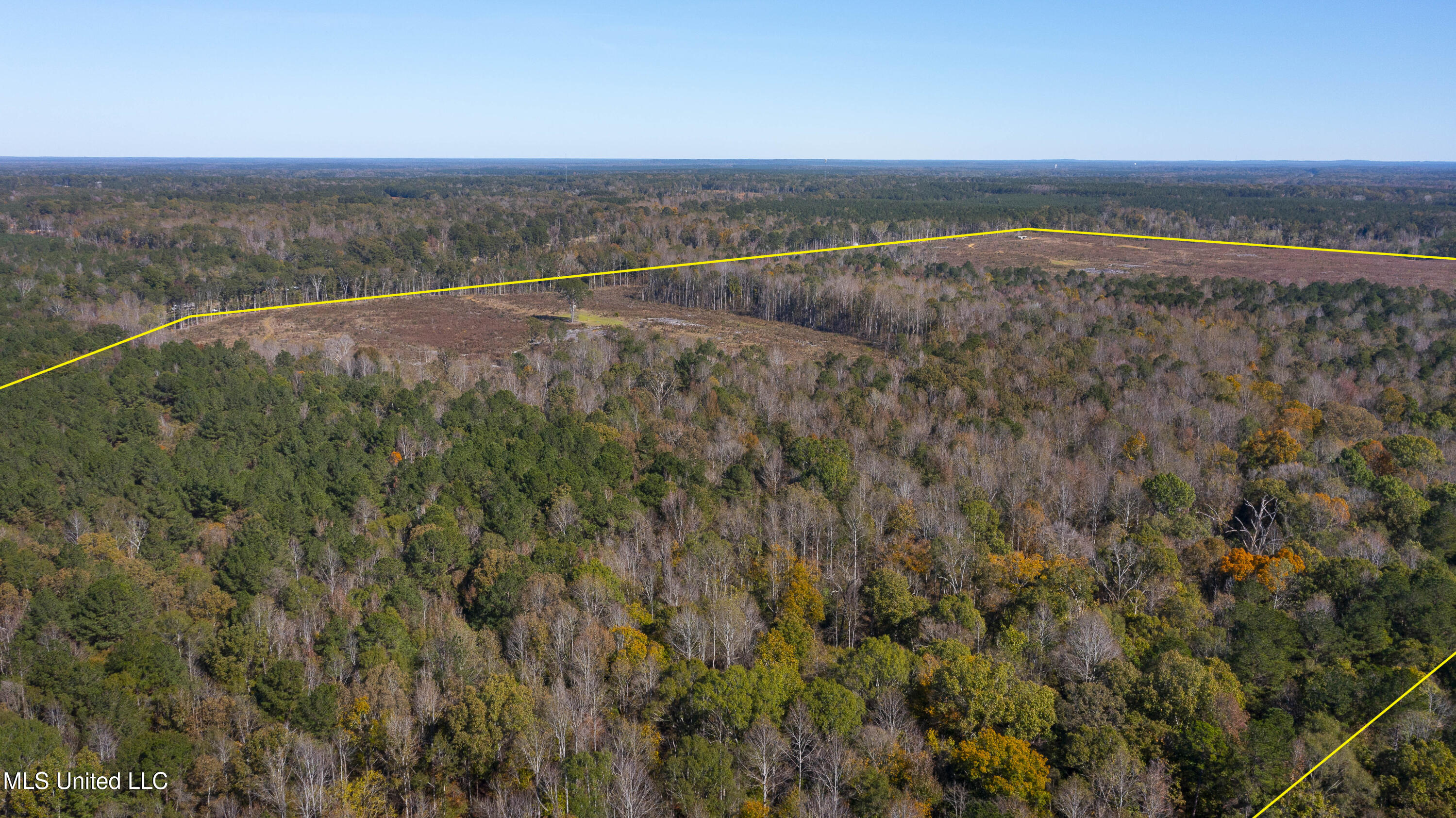 347.14 Acres Bridges Road, Brandon, Mississippi image 9