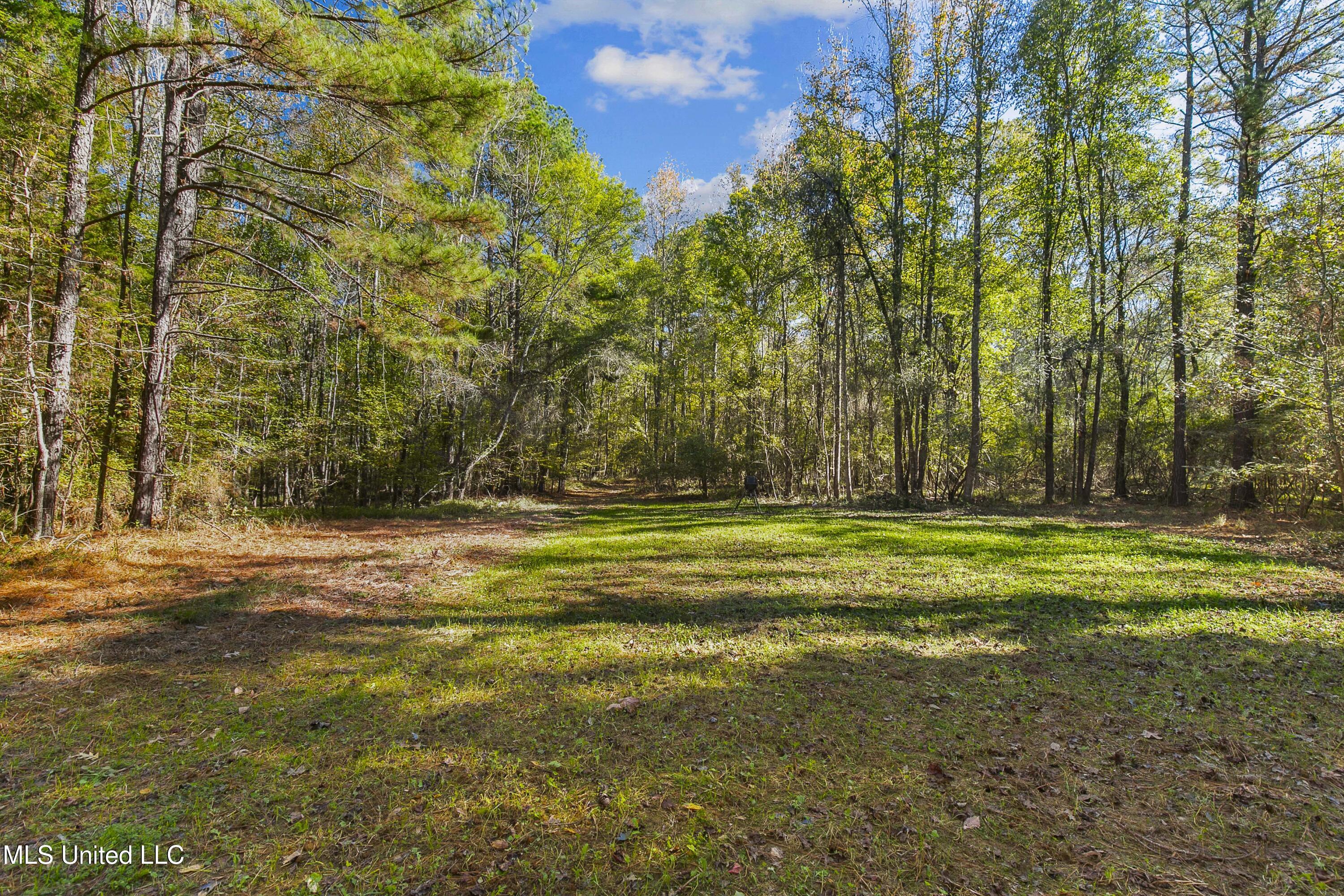 347.14 Acres Bridges Road, Brandon, Mississippi image 21