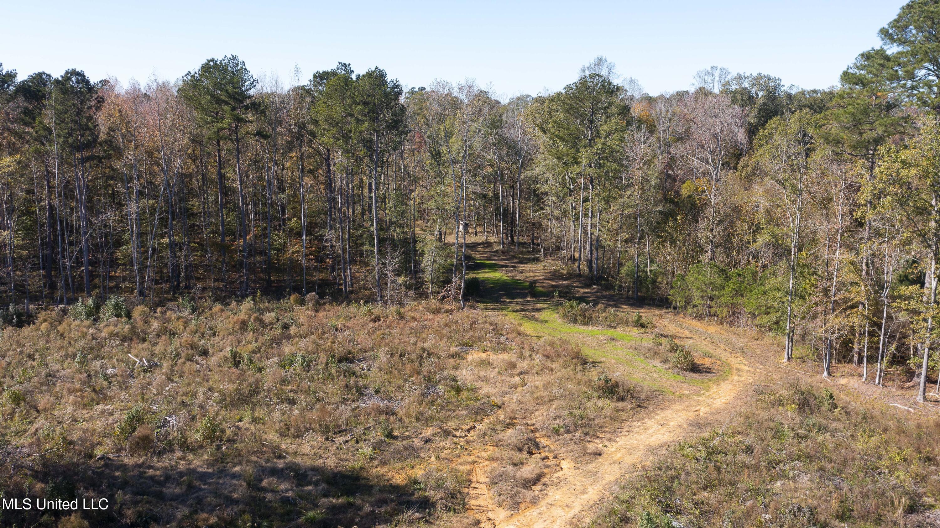 347.14 Acres Bridges Road, Brandon, Mississippi image 15