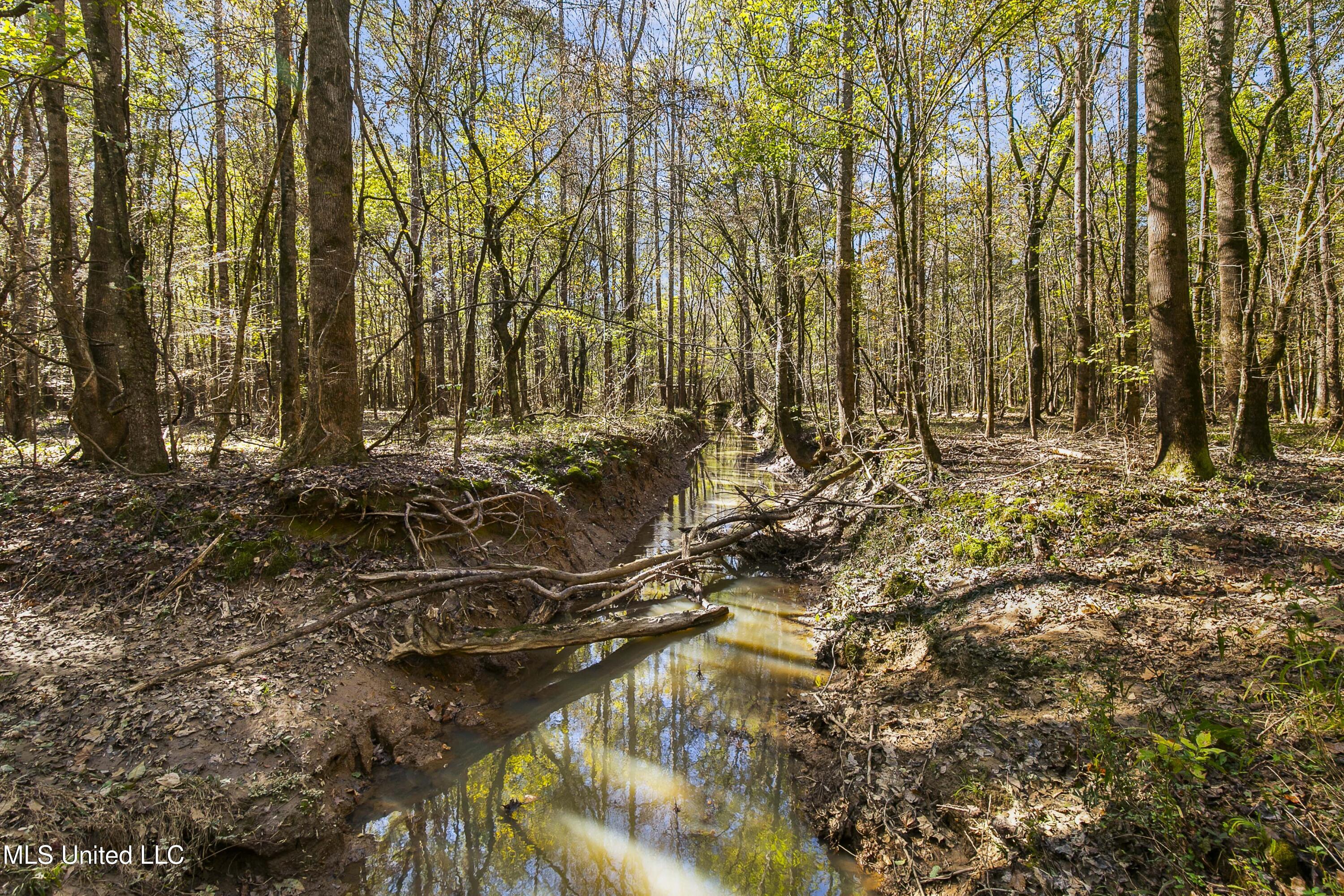 347.14 Acres Bridges Road, Brandon, Mississippi image 27