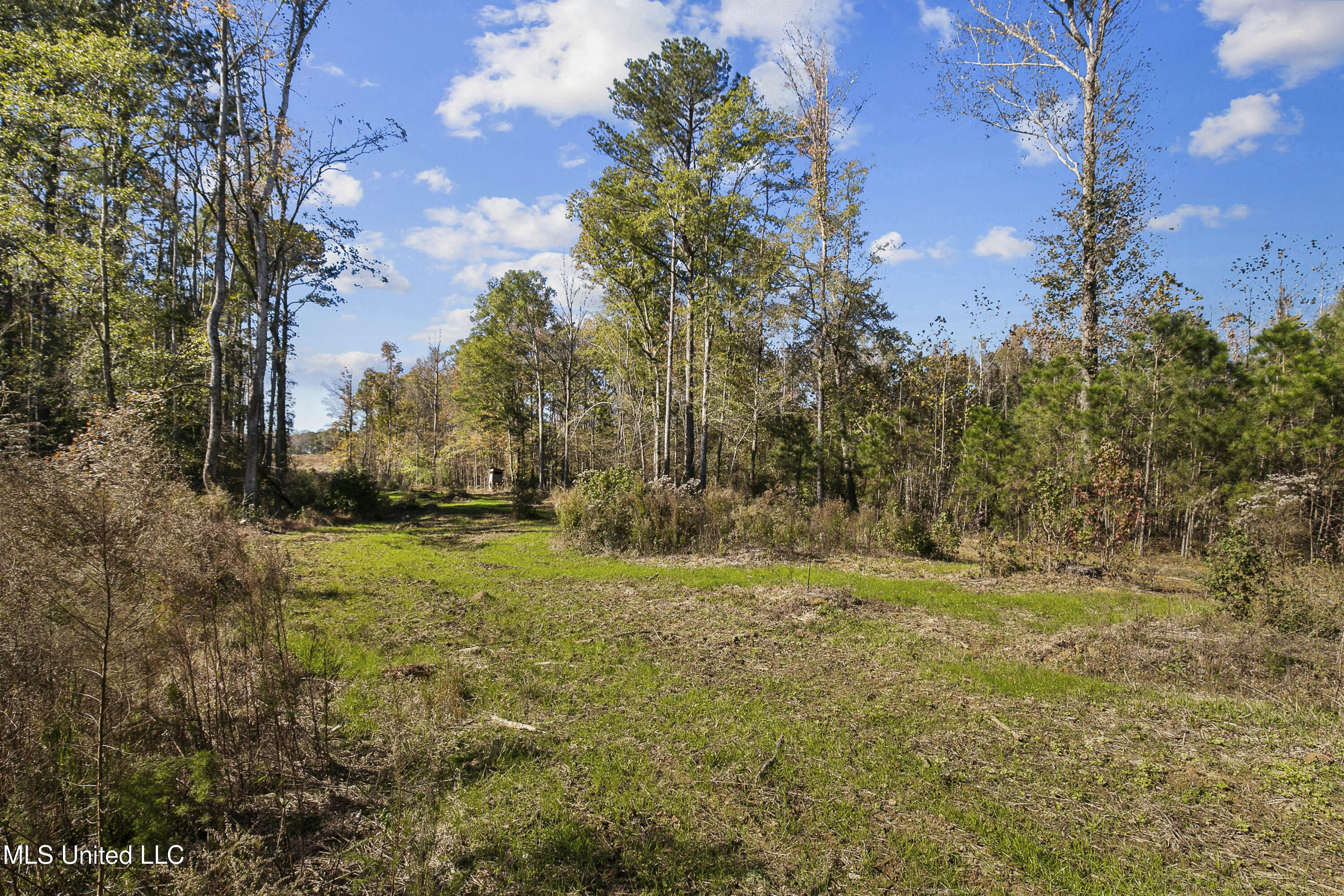 347.14 Acres Bridges Road, Brandon, Mississippi image 34