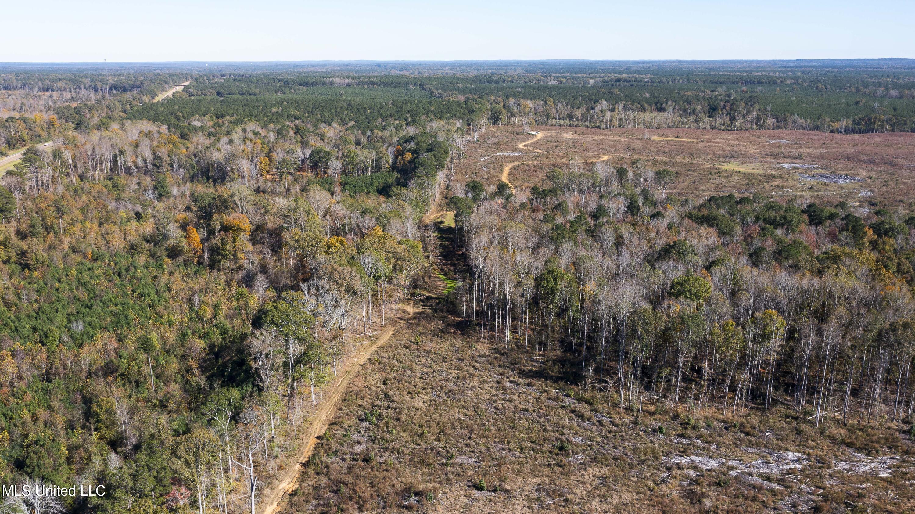 347.14 Acres Bridges Road, Brandon, Mississippi image 18