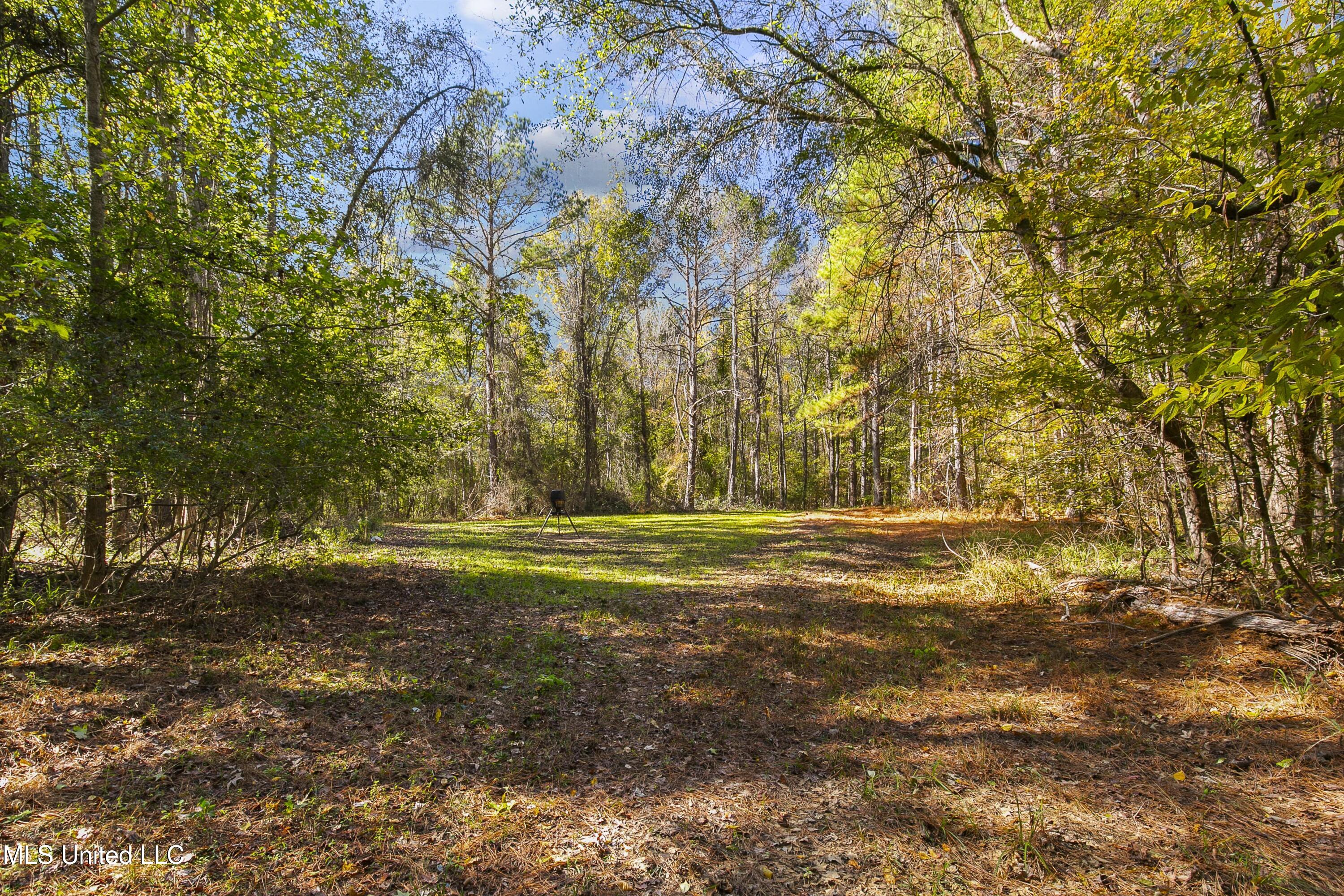 347.14 Acres Bridges Road, Brandon, Mississippi image 20