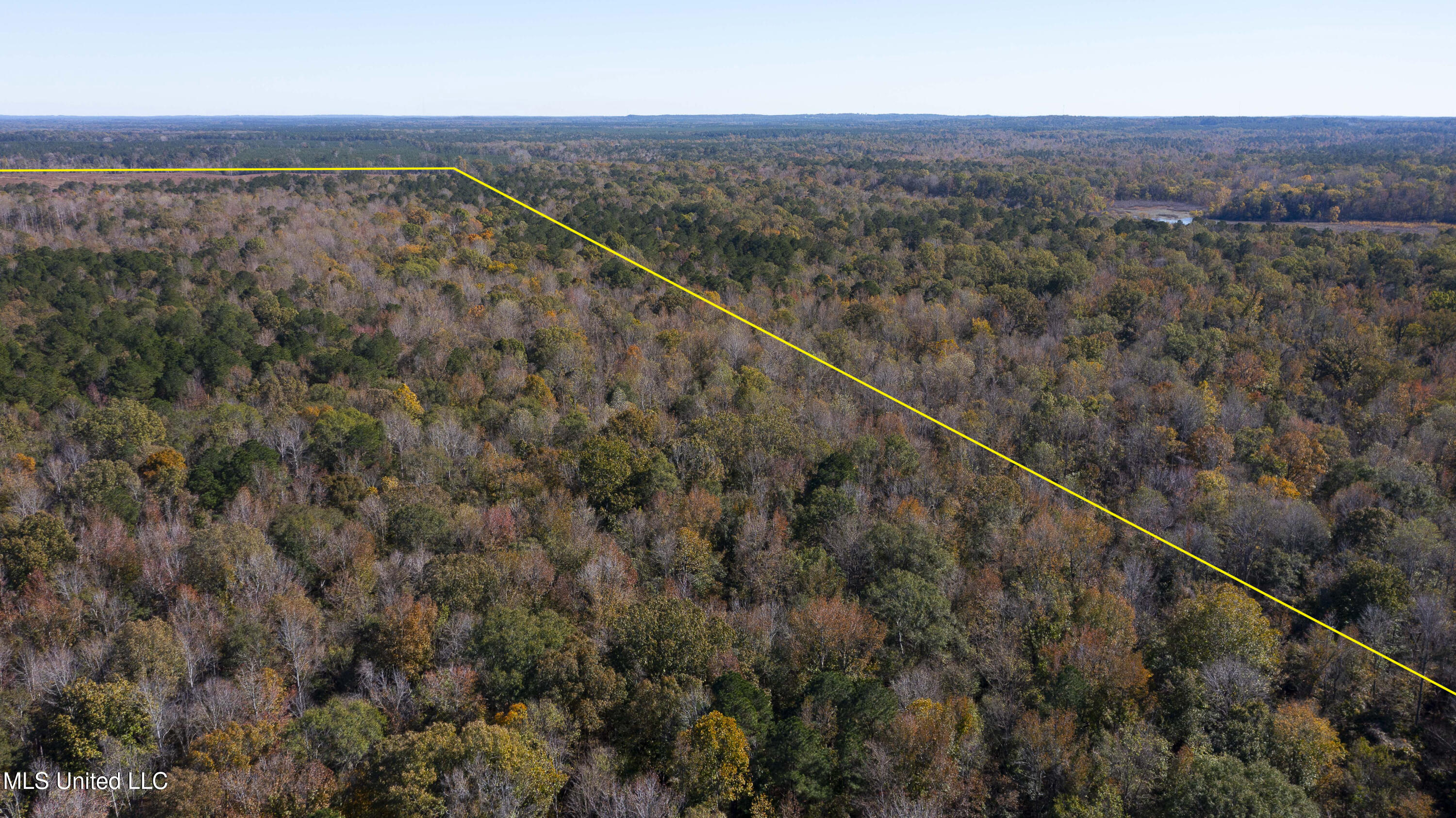 347.14 Acres Bridges Road, Brandon, Mississippi image 7