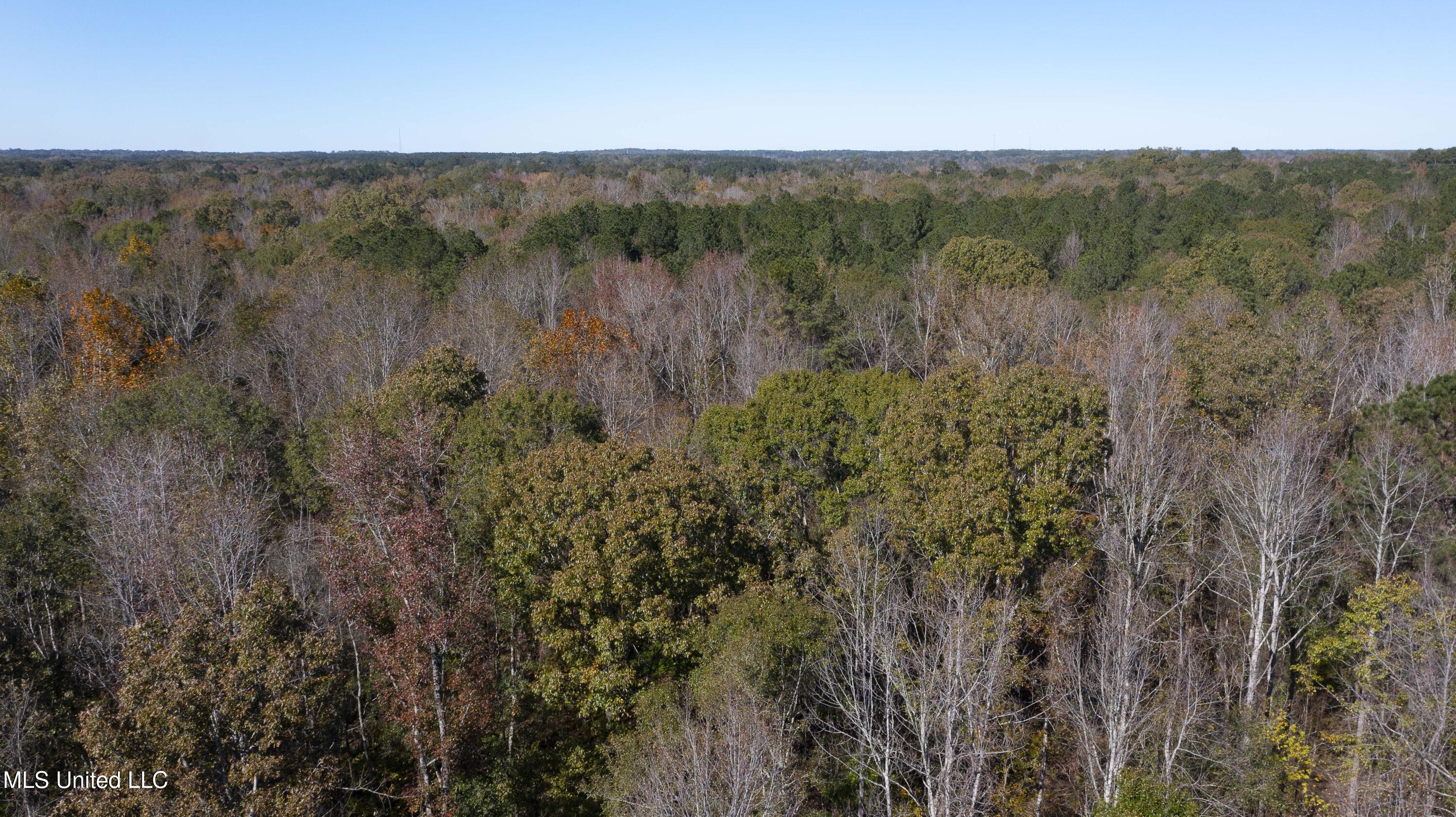 347.14 Acres Bridges Road, Brandon, Mississippi image 36