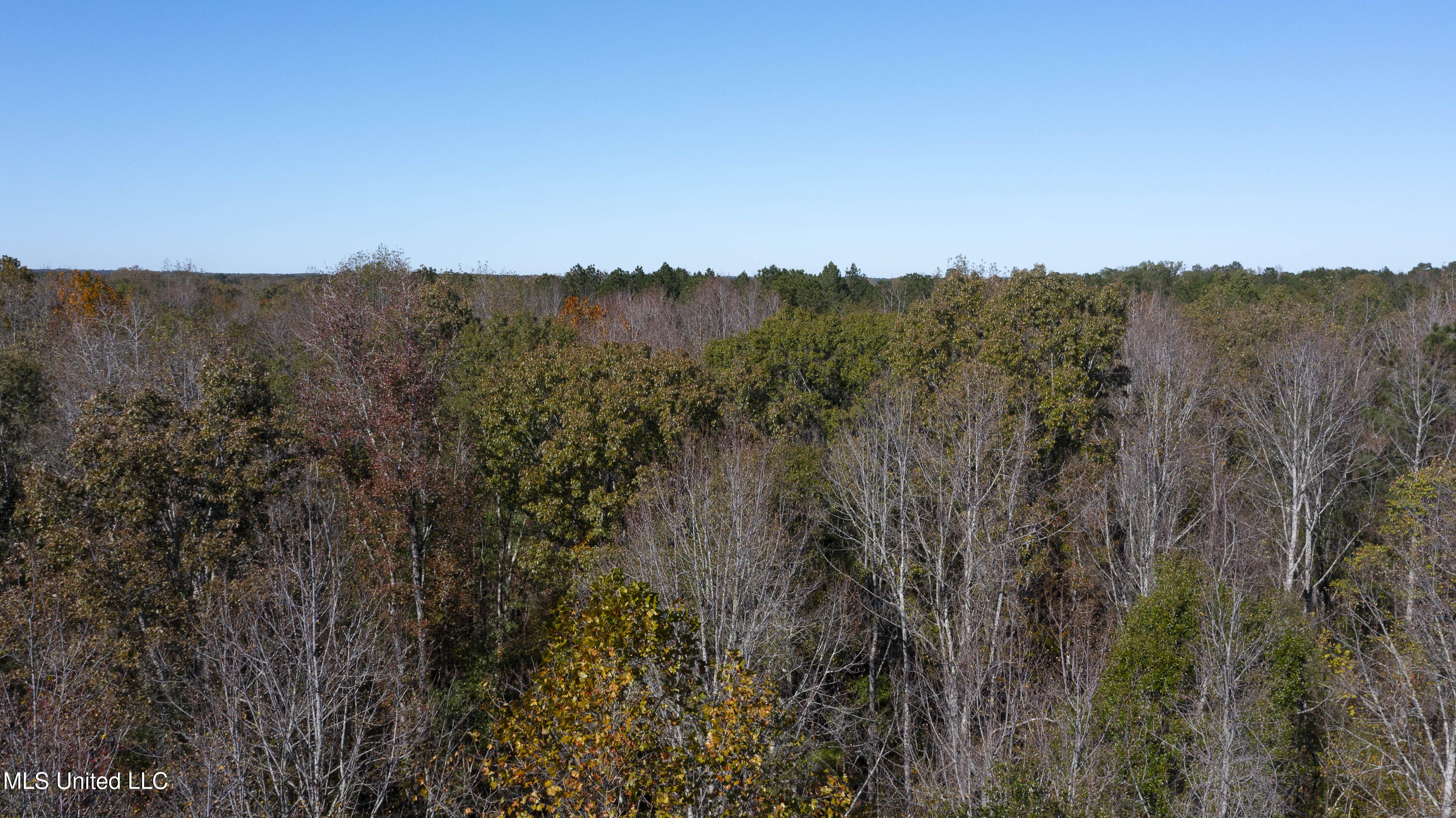 347.14 Acres Bridges Road, Brandon, Mississippi image 35