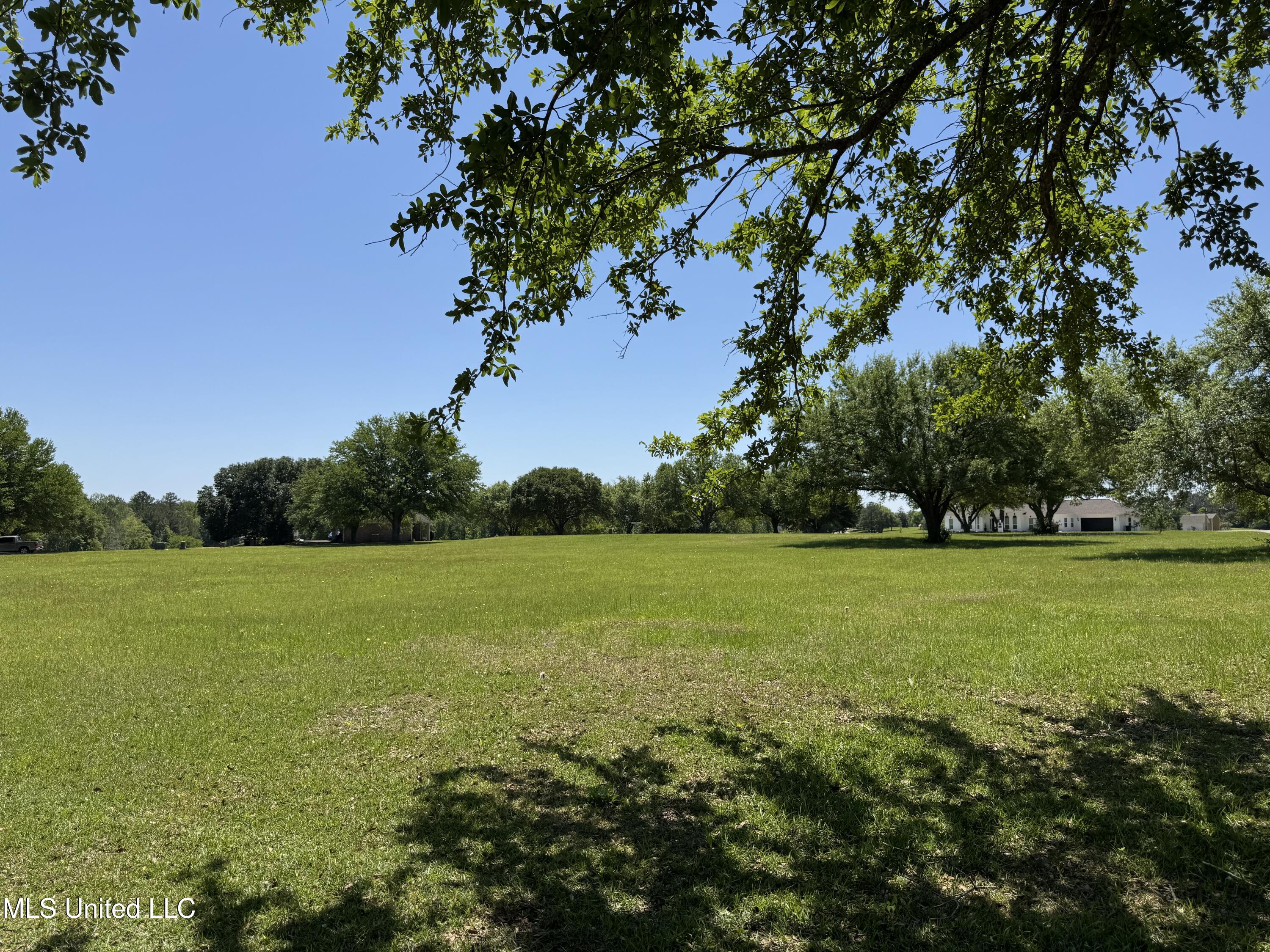 165 Anastasia Drive, Carriere, Mississippi image 1