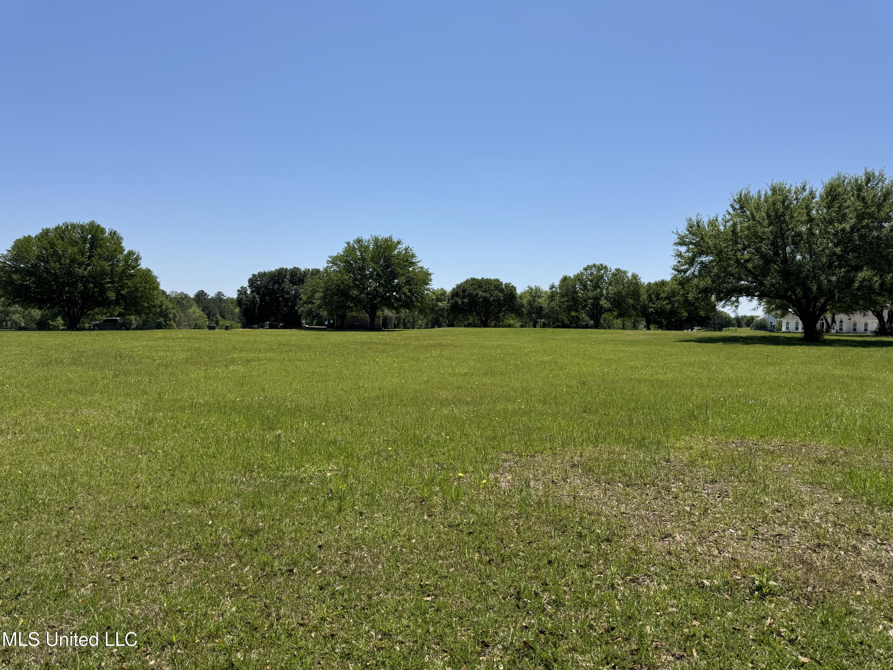 165 Anastasia Drive, Carriere, Mississippi image 2