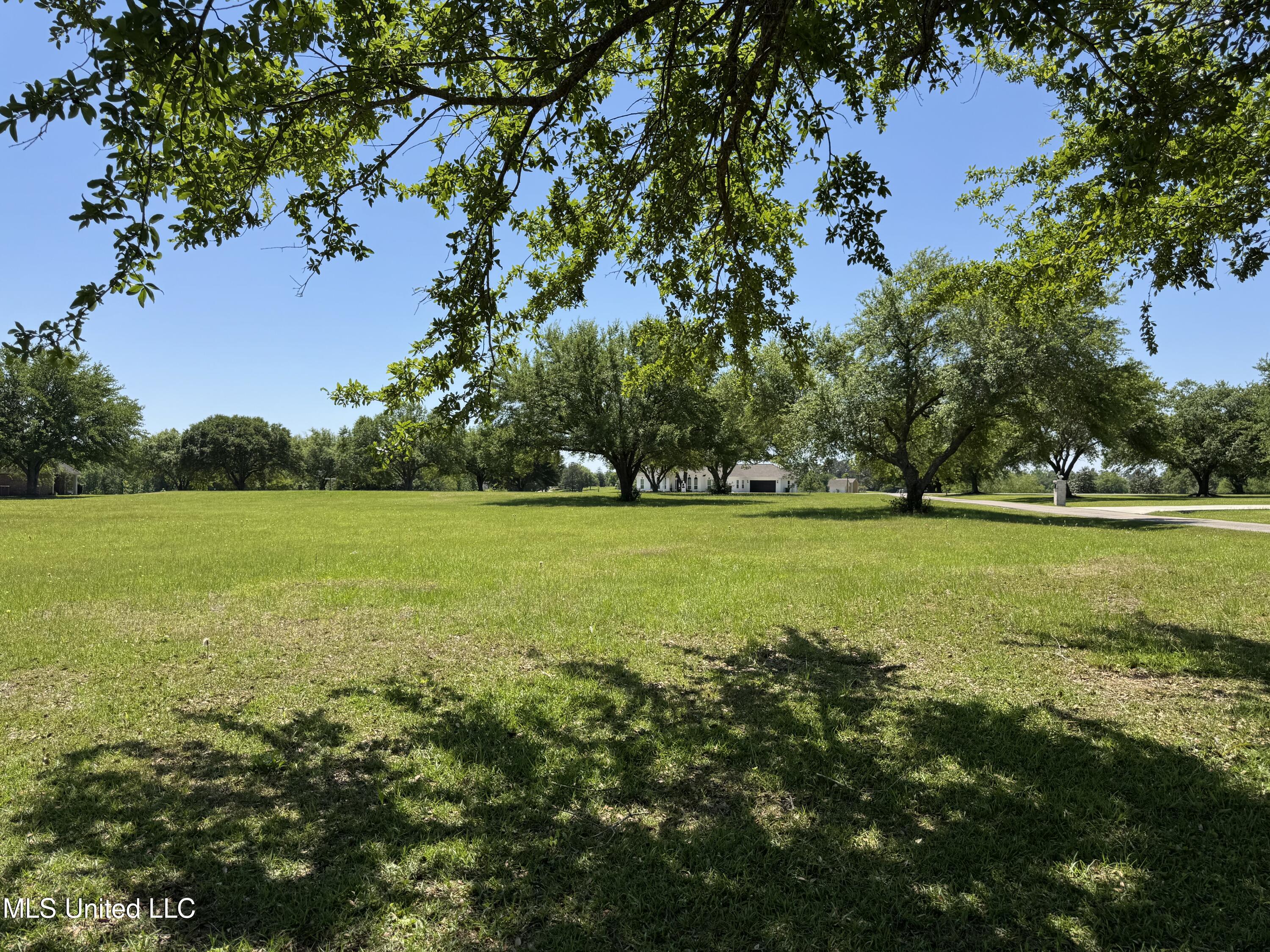 165 Anastasia Drive, Carriere, Mississippi image 4