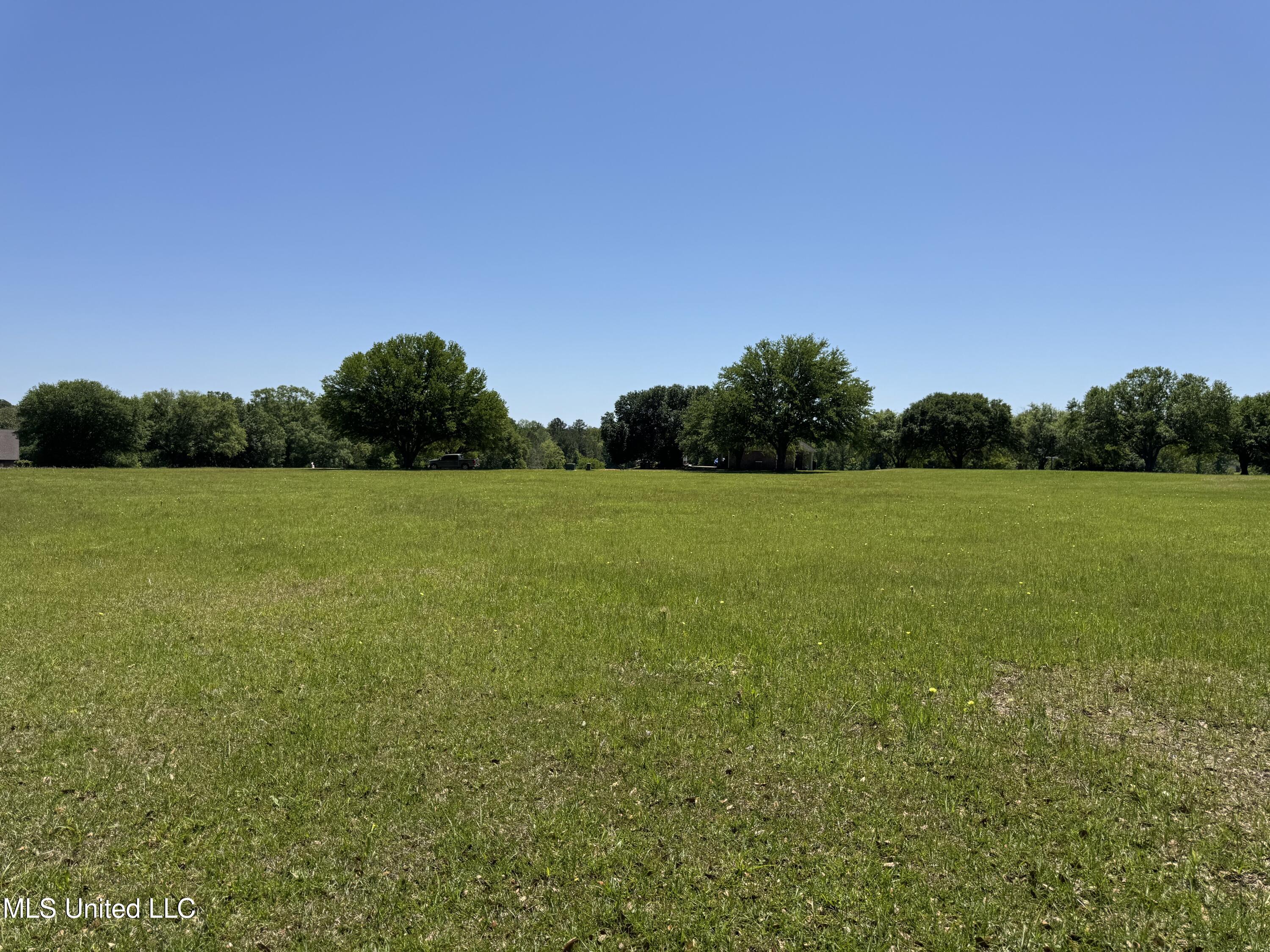 165 Anastasia Drive, Carriere, Mississippi image 3