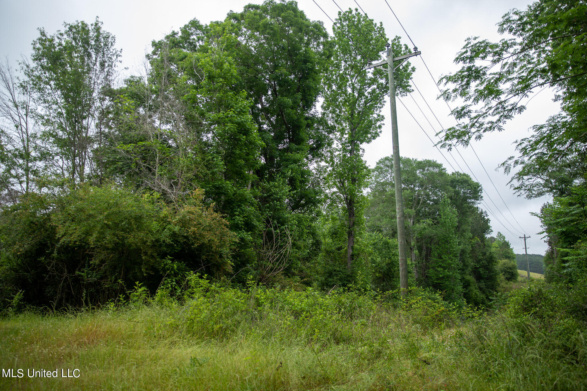 Us-84, Prentiss, Mississippi image 42