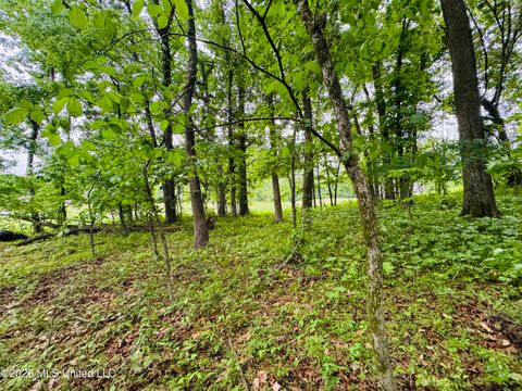 Vacant Land For Sale - Kimber Cove<br/> Hernando, MS 38632