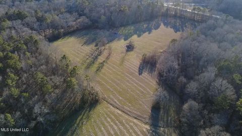 Vacant Land For Sale - 00 Ms-13<br/> Scott County, Morton, MS 39117