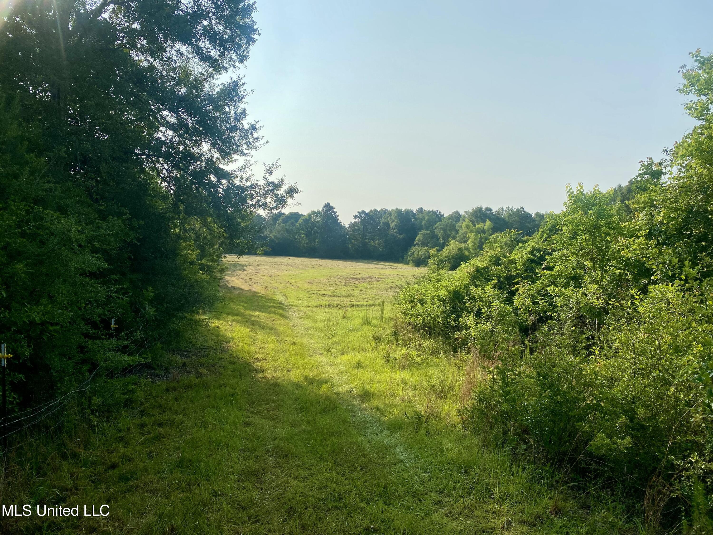 Ponderosa Road, Wiggins, Mississippi image 8