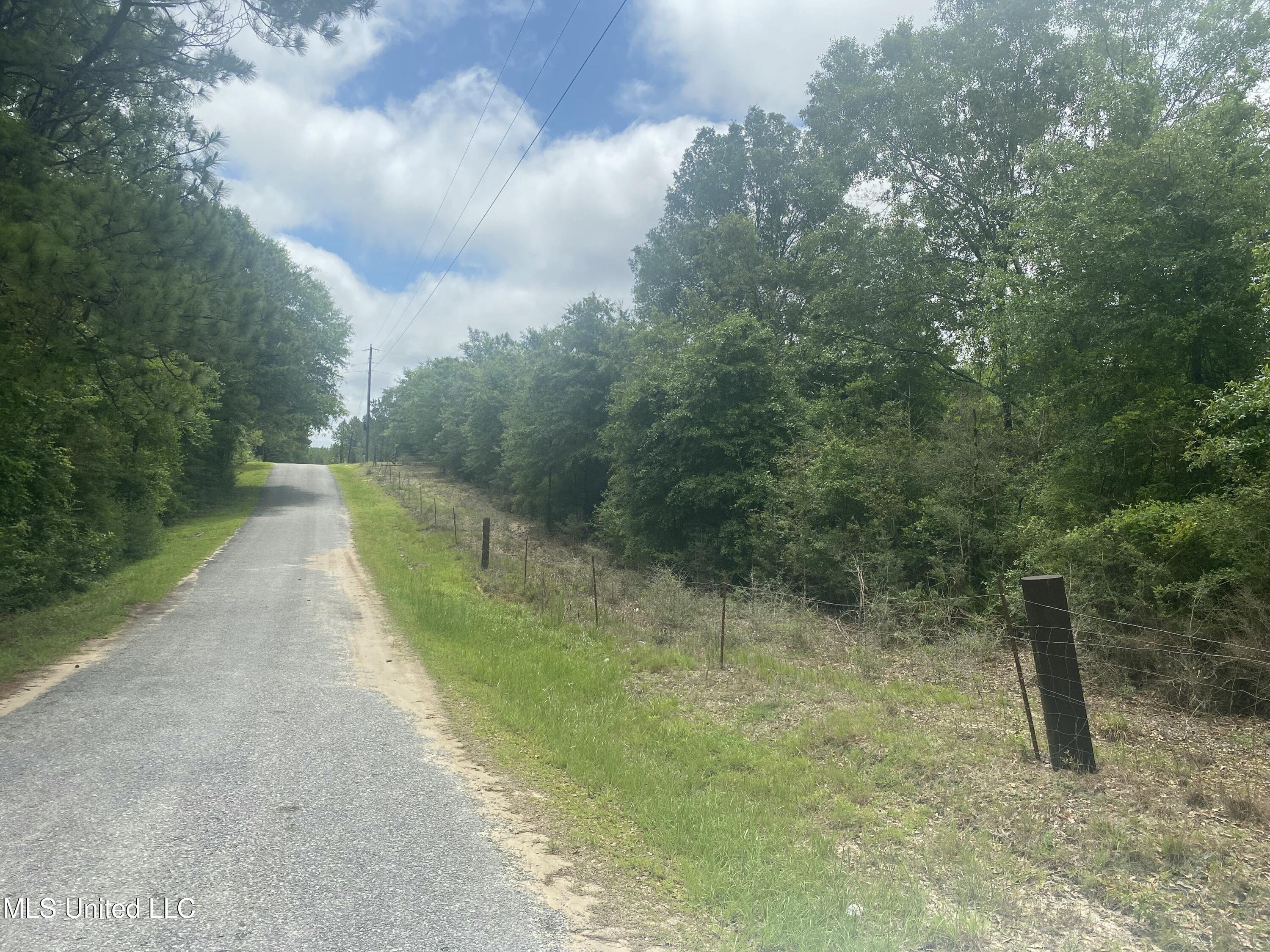 Ponderosa Road, Wiggins, Mississippi image 11