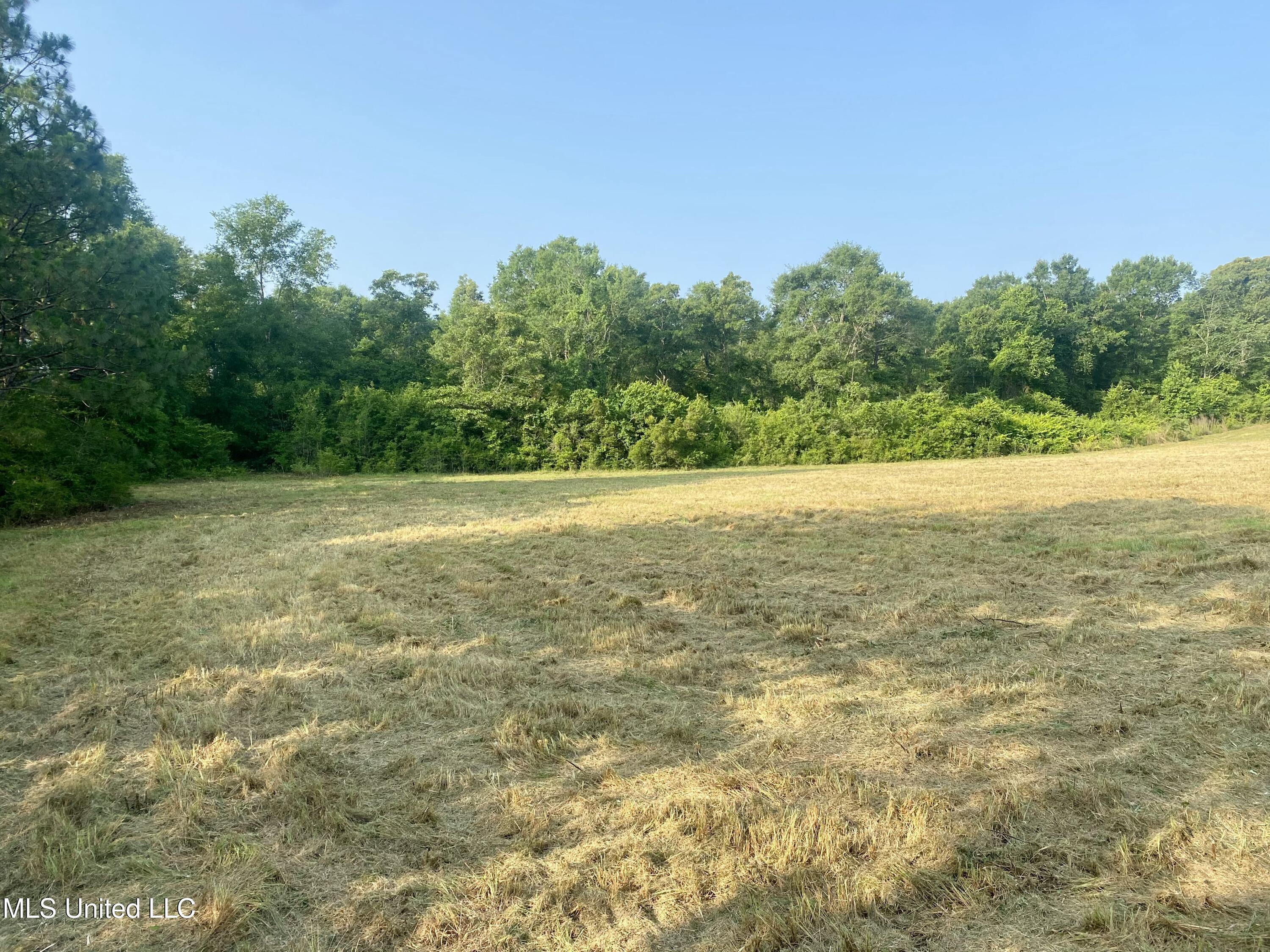Ponderosa Road, Wiggins, Mississippi image 10