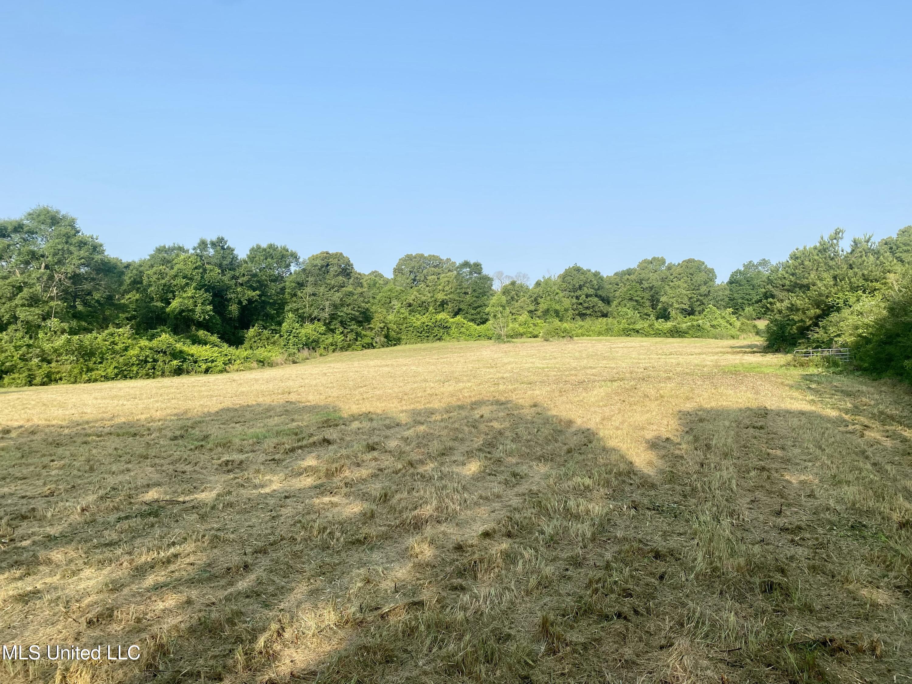 Ponderosa Road, Wiggins, Mississippi image 9