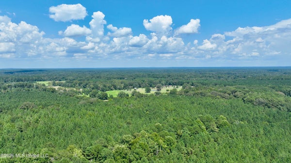 COUNTY RD 563, MORTON, MS 39117 - Image 8b96413755a1ca4c3e346e2aa4d7e315/903265963
