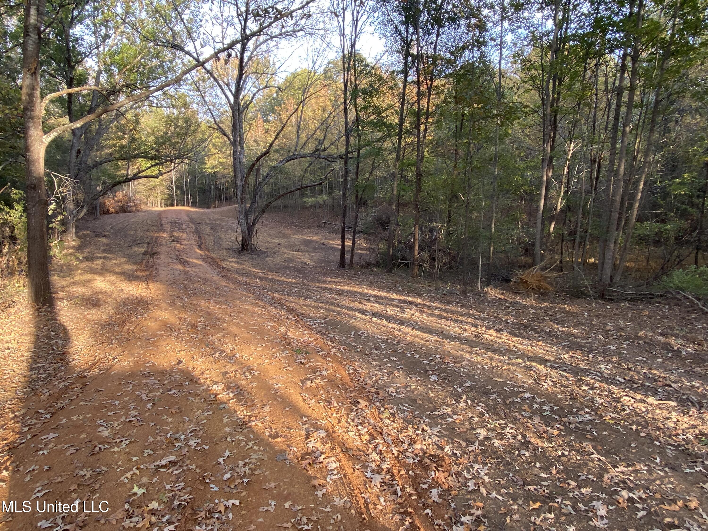 Branan Road, Coldwater, Mississippi image 4