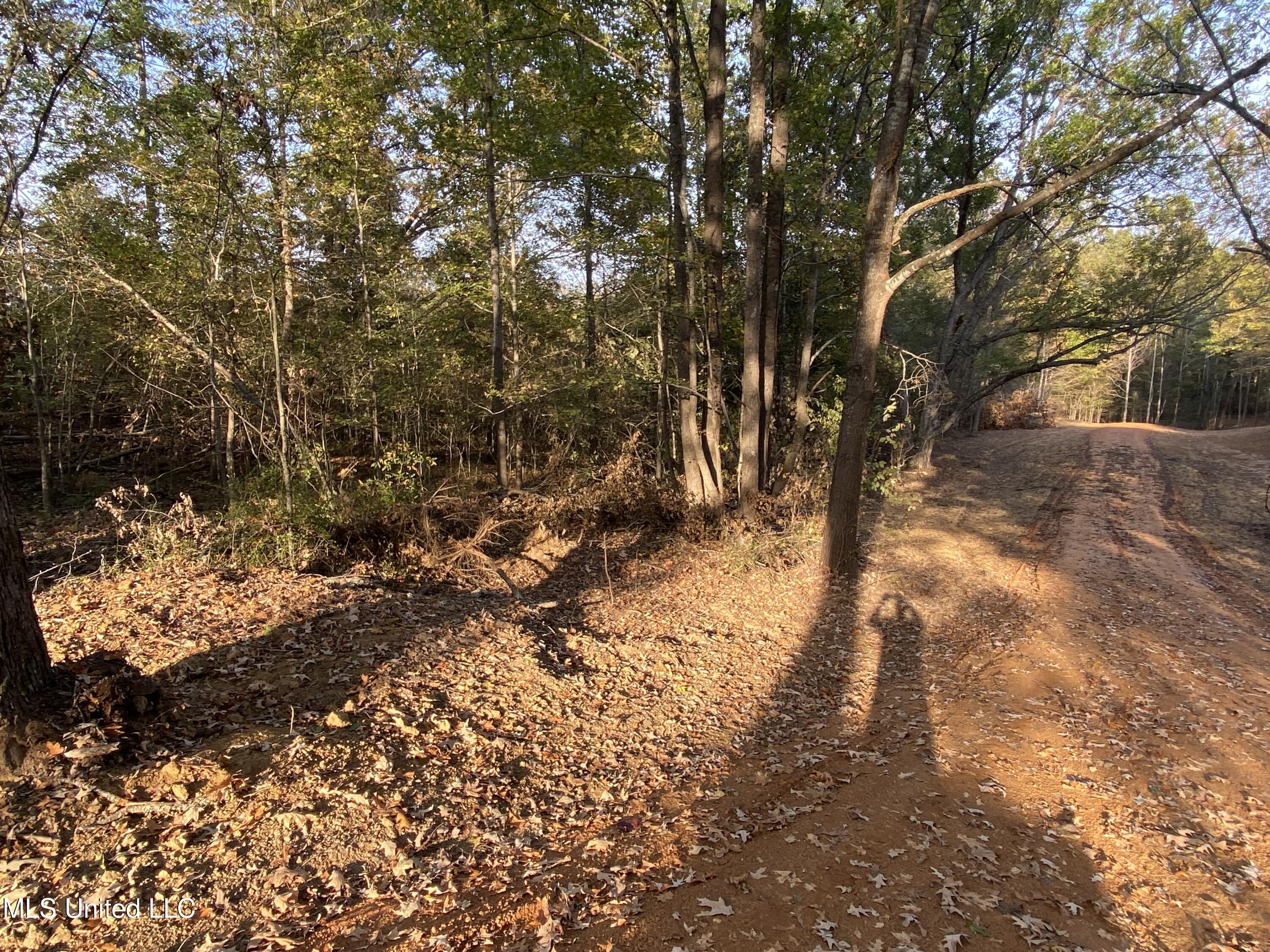 Branan Road, Coldwater, Mississippi image 7