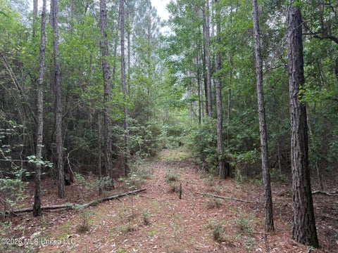 Vacant Land For Sale - Highway 49<br/> Saucier, MS 39574