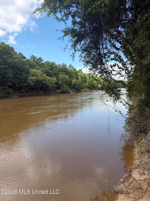 Vacant Land For Sale - Ann Hinton Road<br/> Beaumont, MS 39423