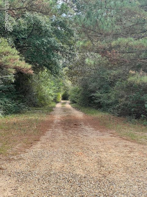Vacant Land For Sale - Wildwood Drive<br/> Lumberton, MS 39455