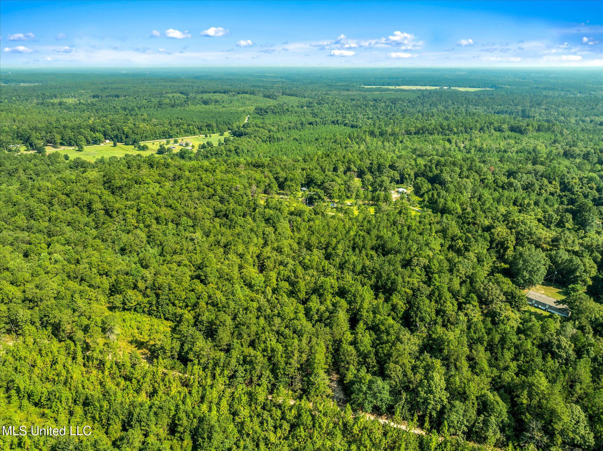 Forest Lake Road, Beaumont, Mississippi image 12