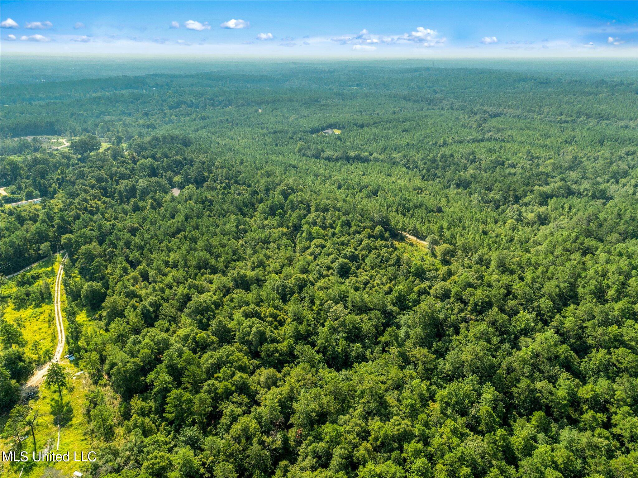 Forest Lake Road, Beaumont, Mississippi image 10