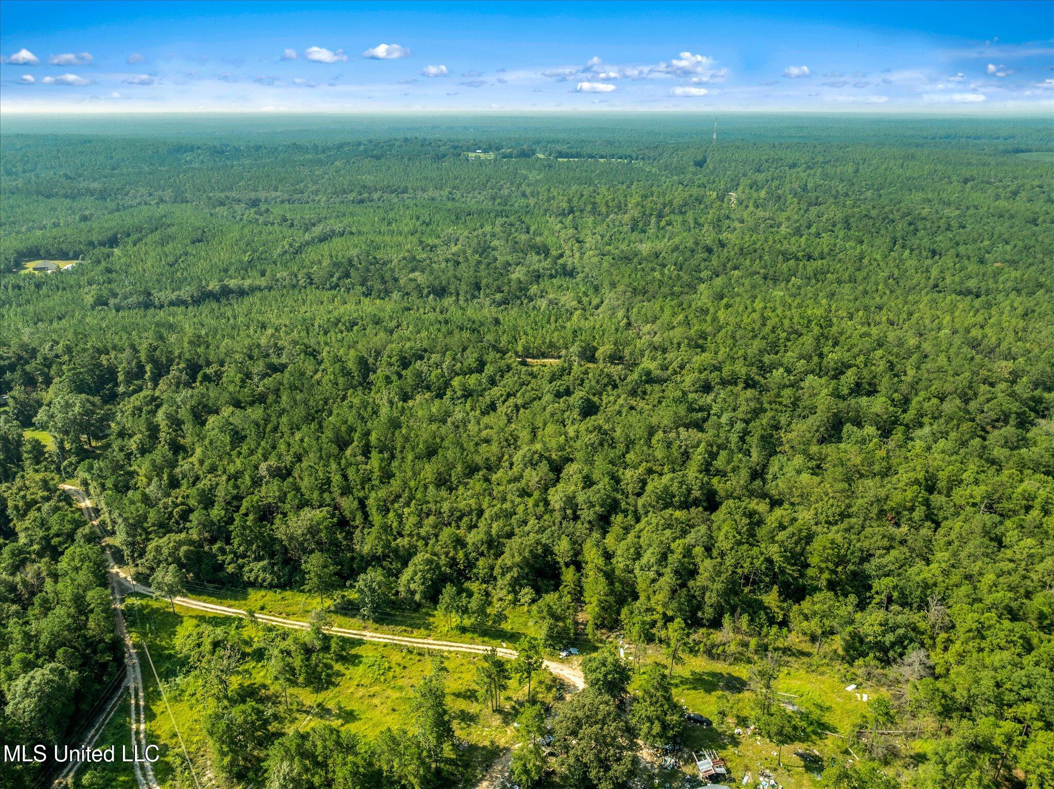 Forest Lake Road, Beaumont, Mississippi image 9
