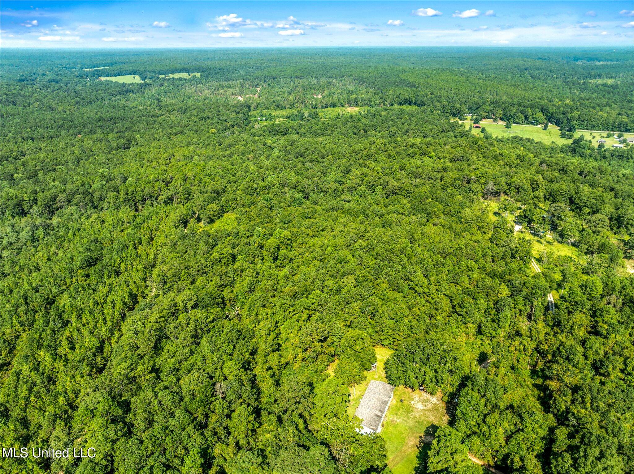 Forest Lake Road, Beaumont, Mississippi image 7