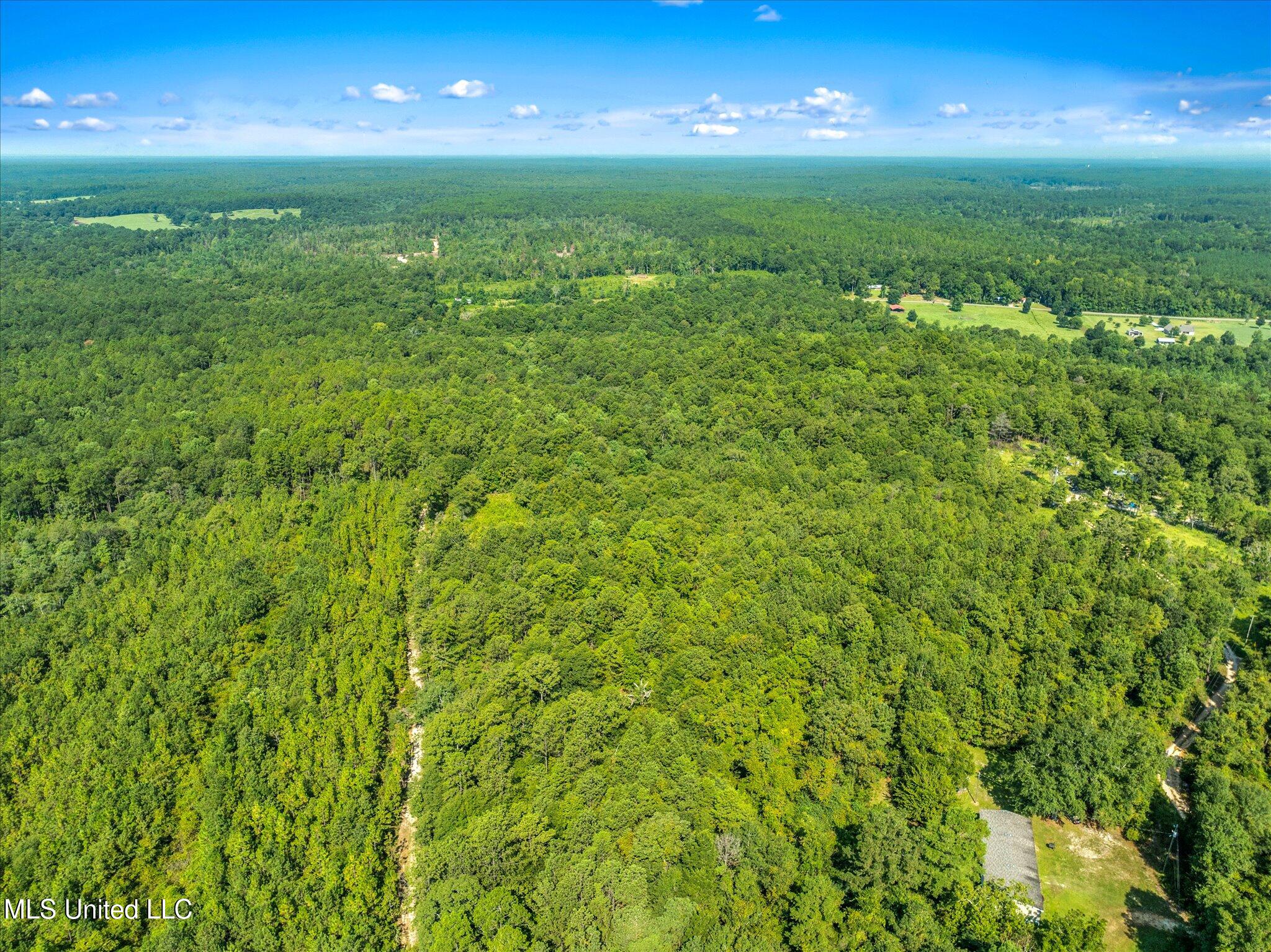 Forest Lake Road, Beaumont, Mississippi image 6