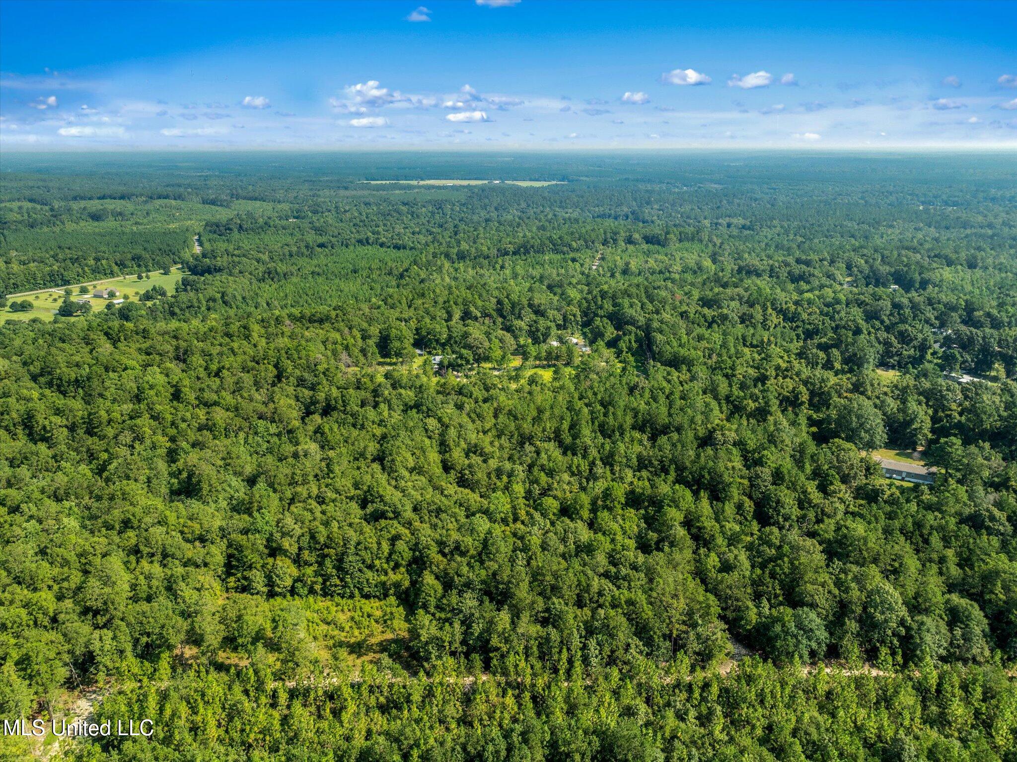 Forest Lake Road, Beaumont, Mississippi image 1