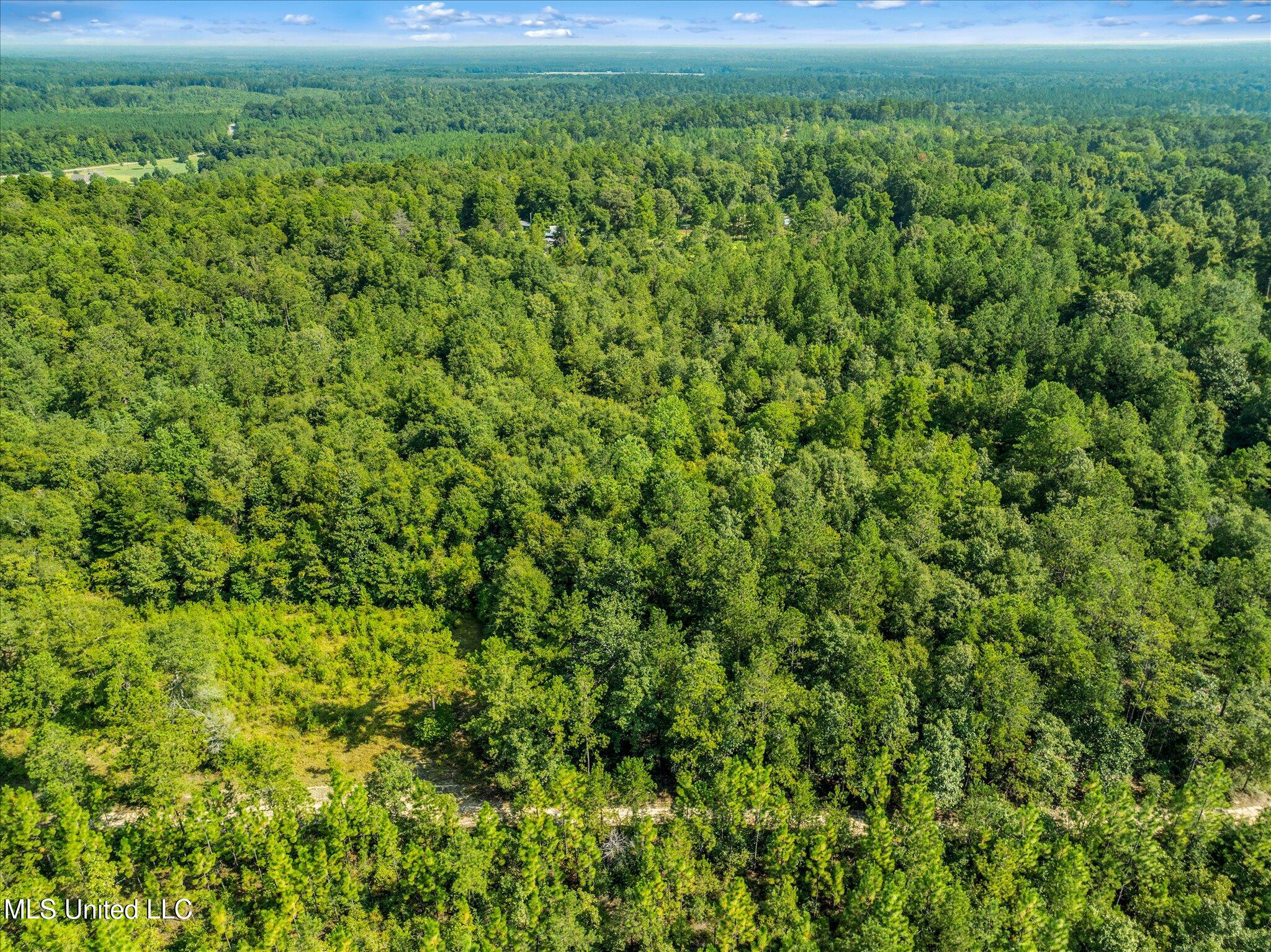 Forest Lake Road, Beaumont, Mississippi image 5