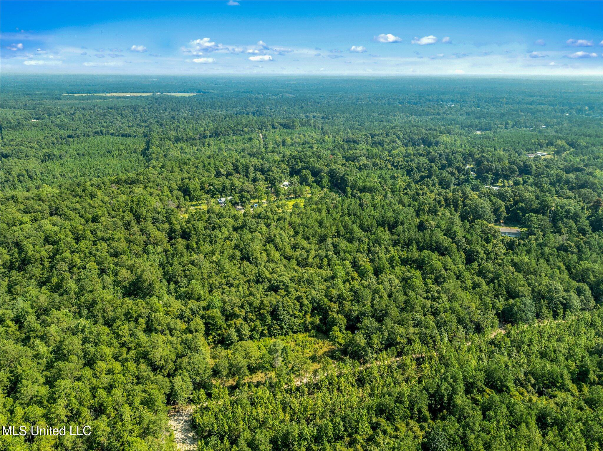 Forest Lake Road, Beaumont, Mississippi image 11
