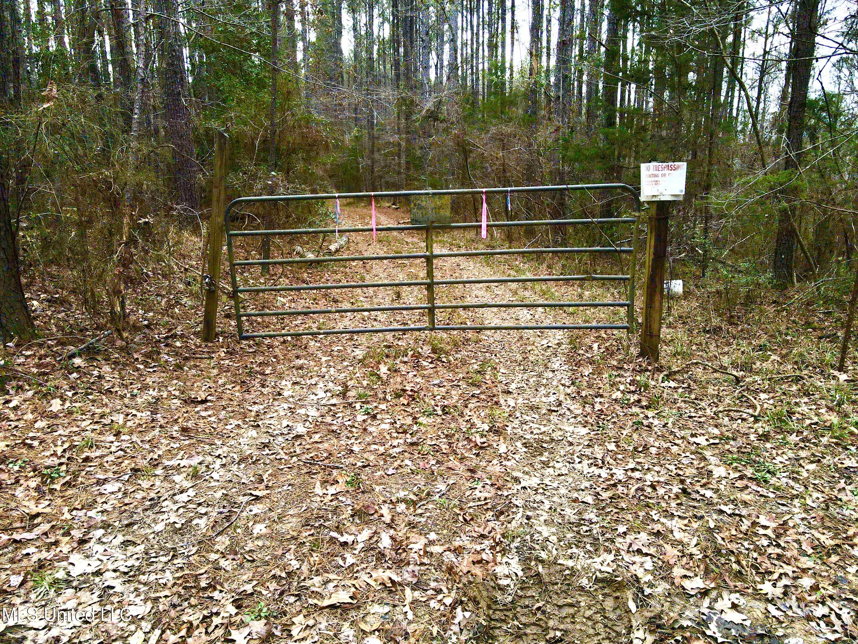 Pea Ridge Rd, Harrisville, Mississippi image 5