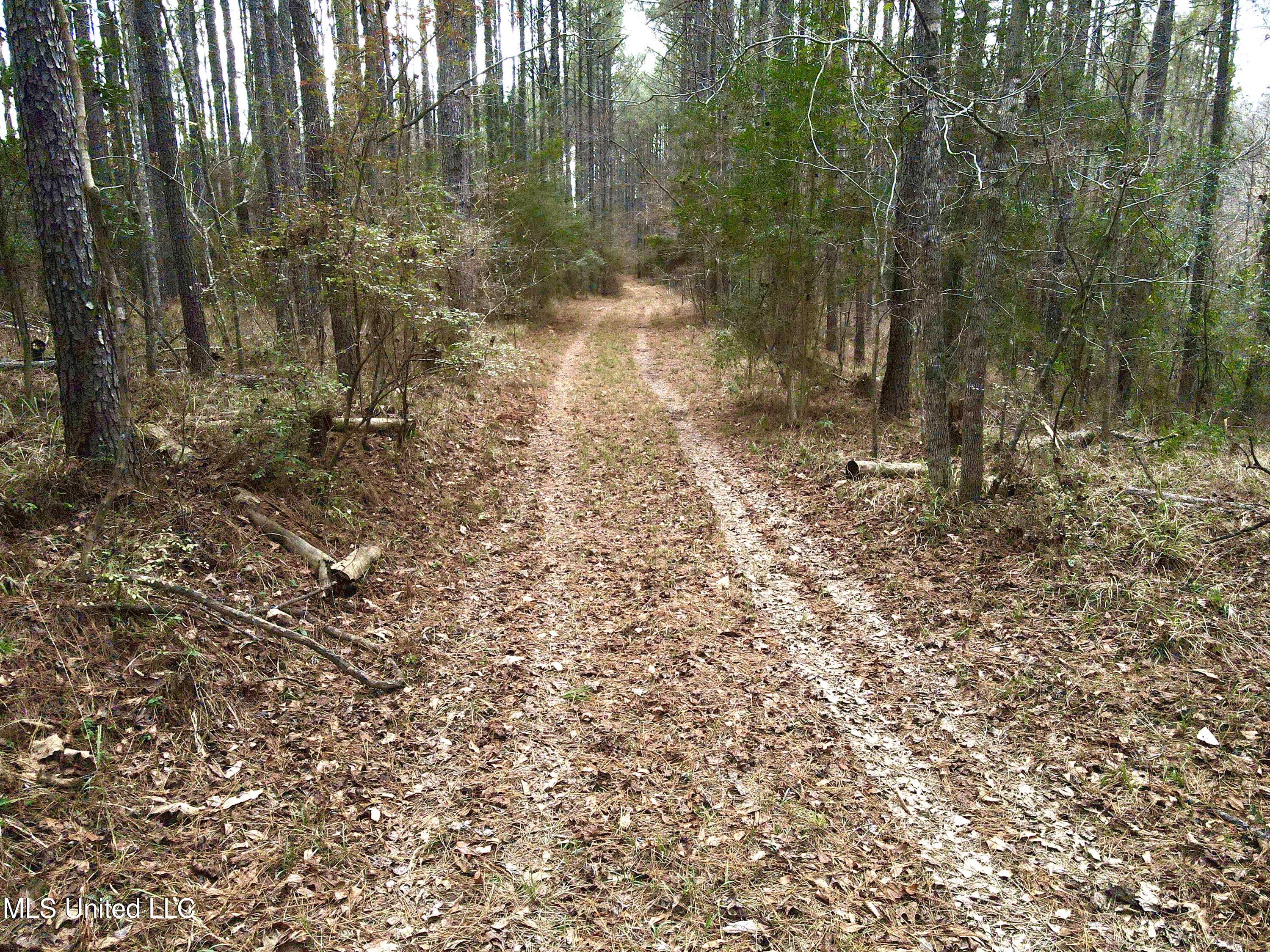 Pea Ridge Rd, Harrisville, Mississippi image 6