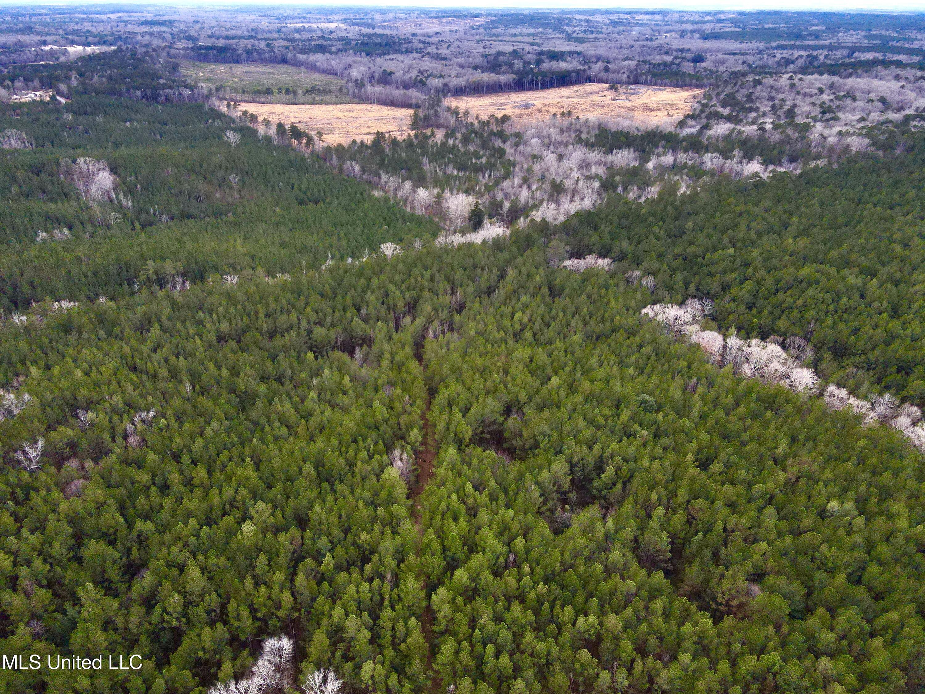 Pea Ridge Rd, Harrisville, Mississippi image 1