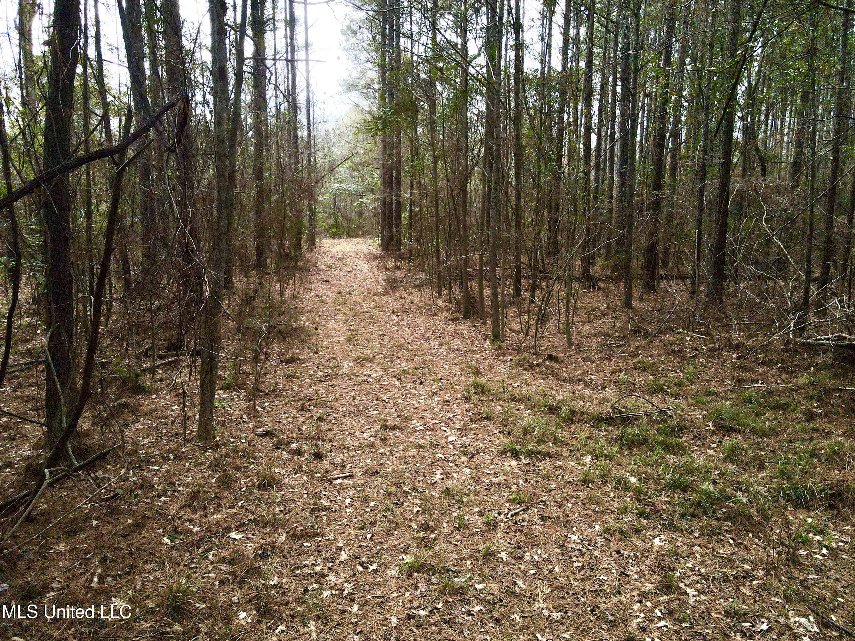 Pea Ridge Rd, Harrisville, Mississippi image 7