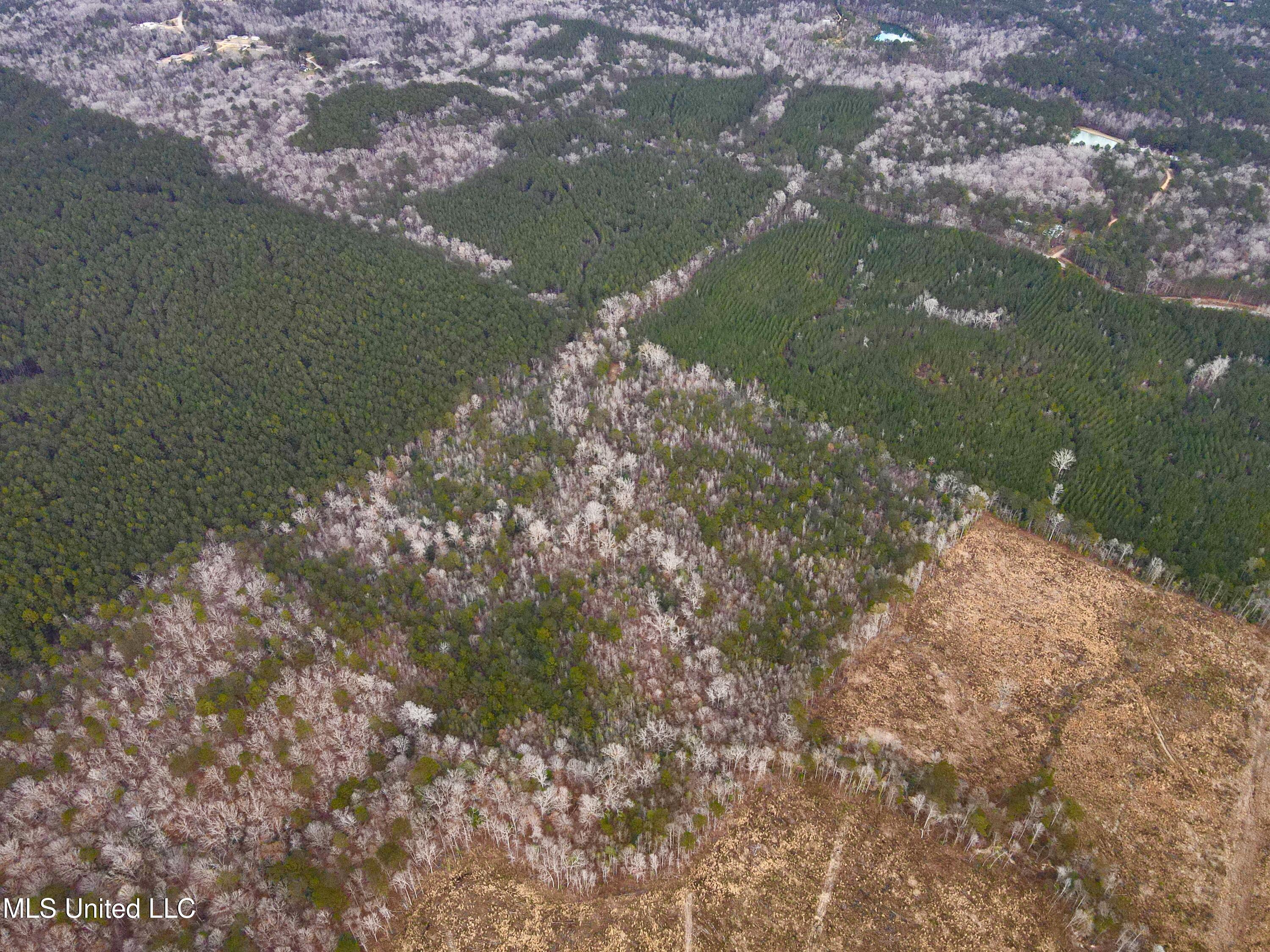 Pea Ridge Rd, Harrisville, Mississippi image 2