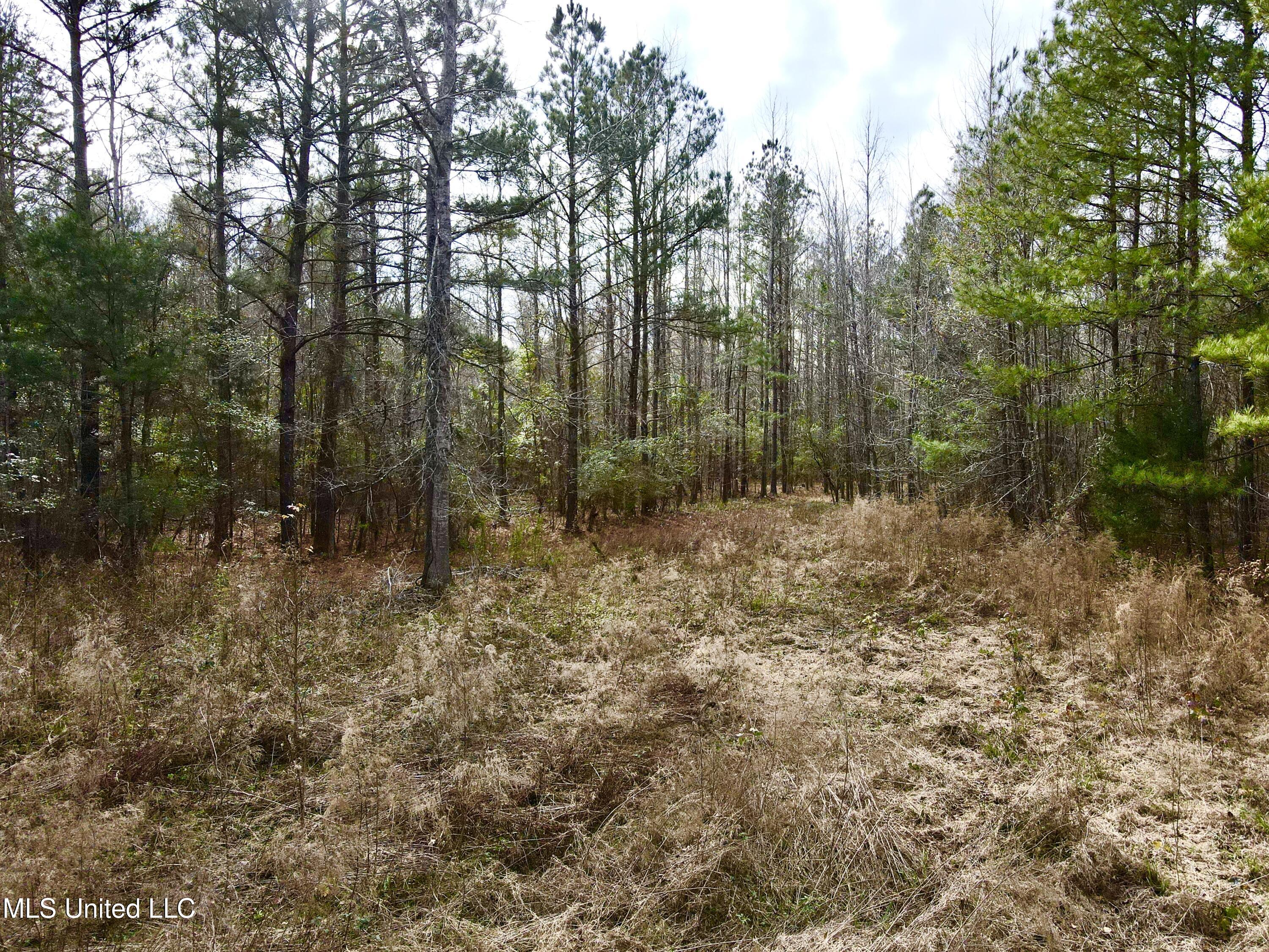 Pea Ridge Rd, Harrisville, Mississippi image 9