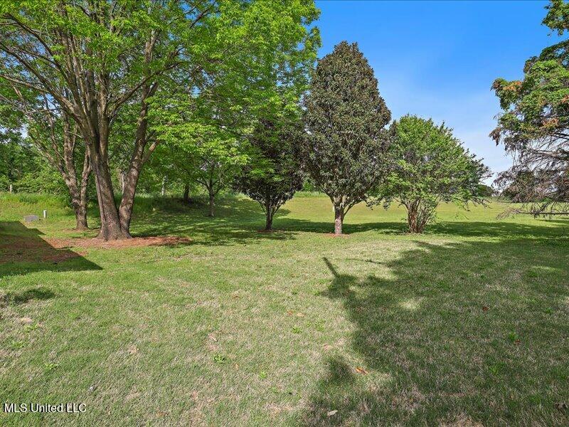 1937 Windsor Drive, Yazoo City, Mississippi image 43