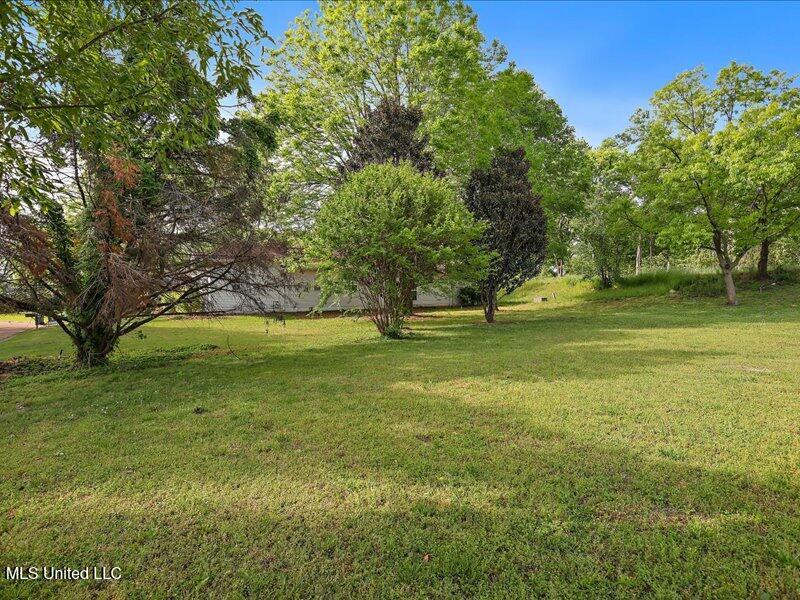 1937 Windsor Drive, Yazoo City, Mississippi image 45