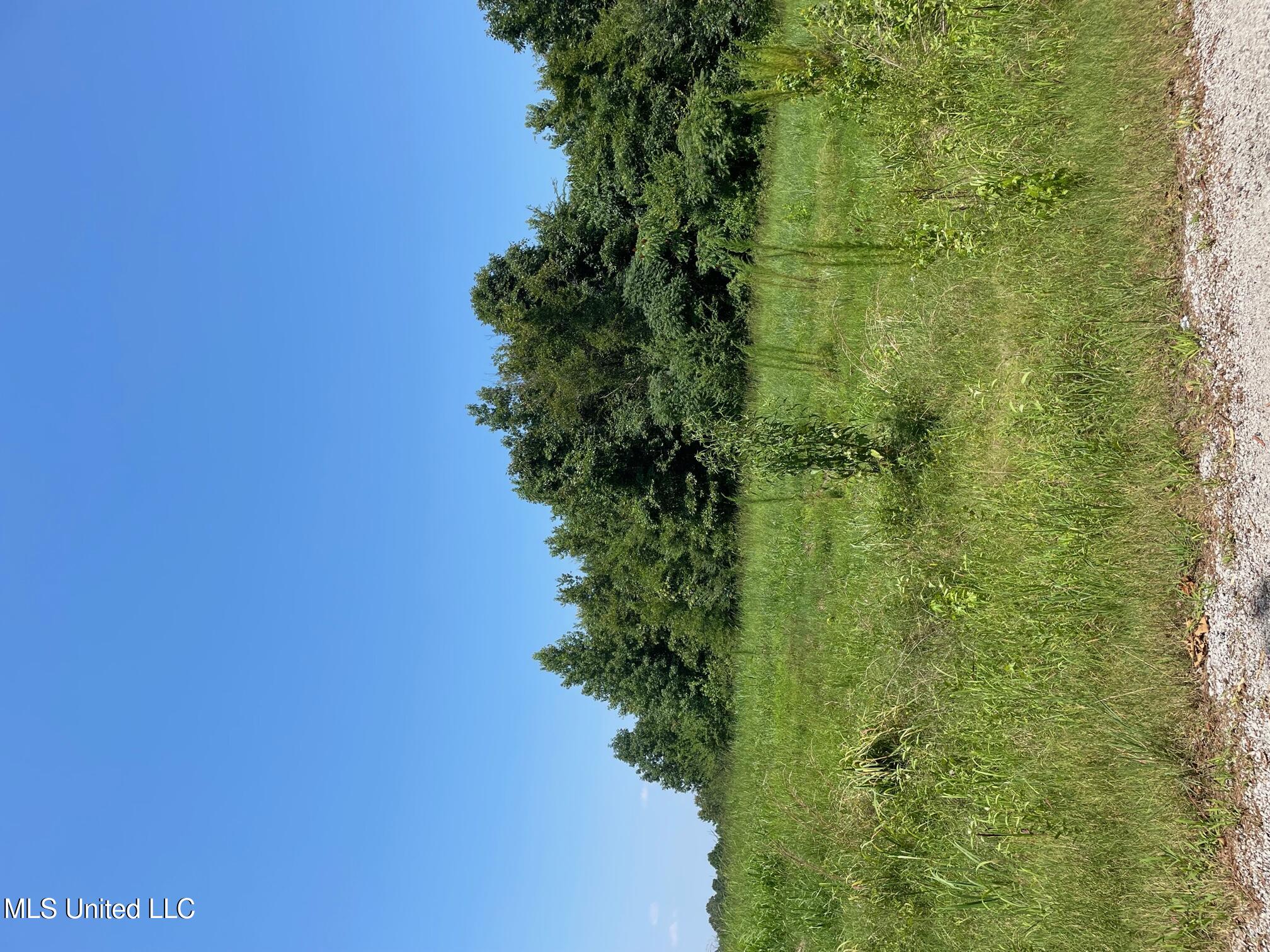 5 Bethlehem Road, Batesville, Mississippi image 1