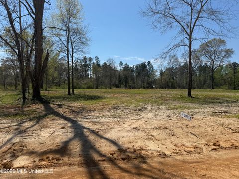 Vacant Land For Sale - LOT 13 Oakley Lane<br/> Lucedale, MS 39452
