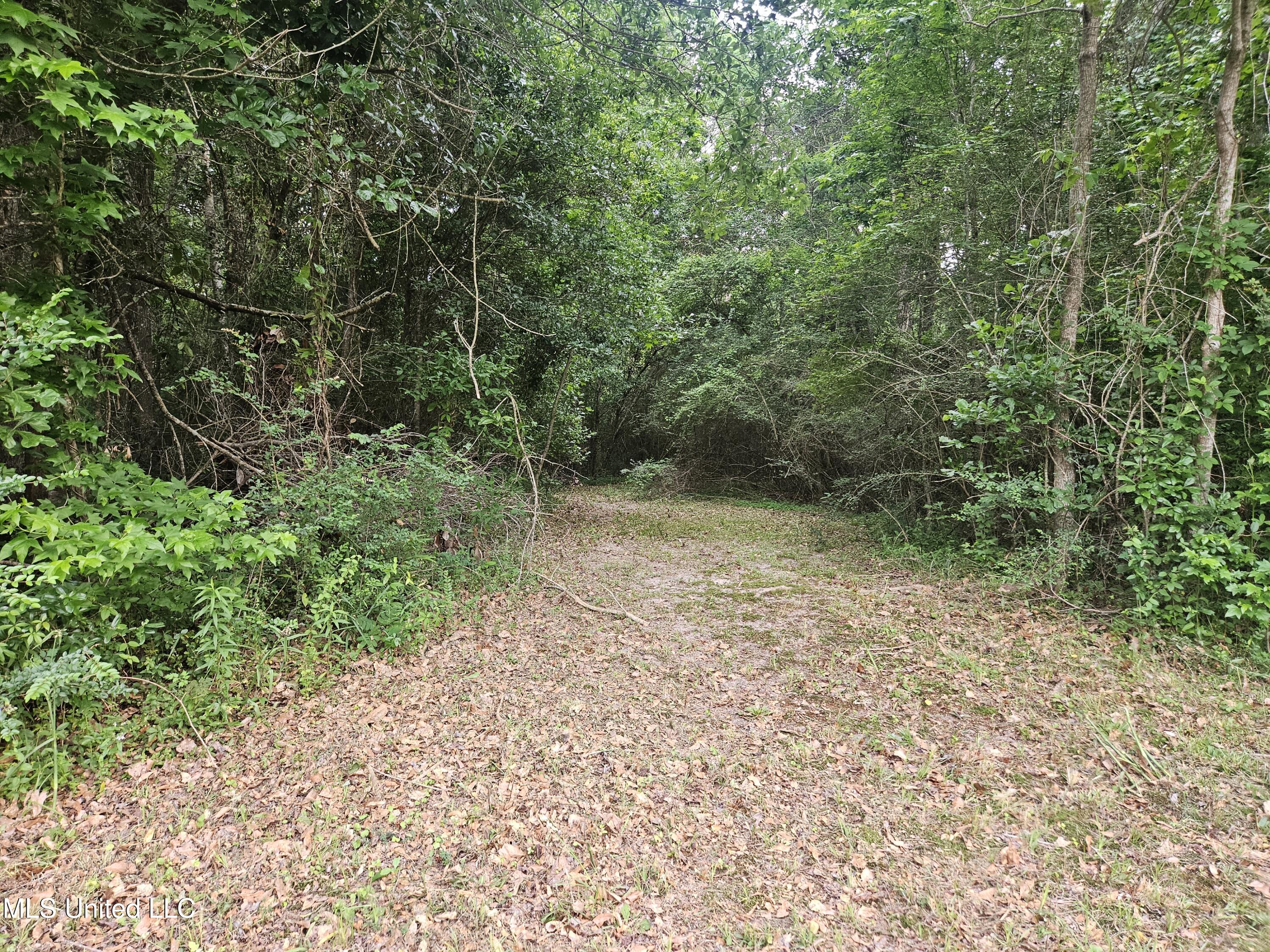 6067 Daugherty Road, Long Beach, Mississippi image 50