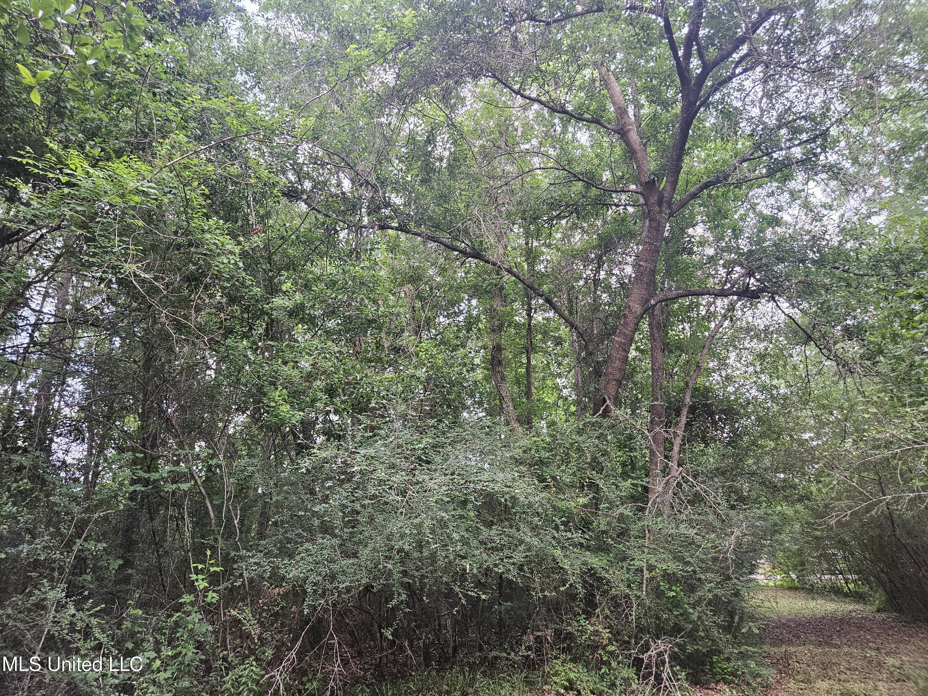 6067 Daugherty Road, Long Beach, Mississippi image 44